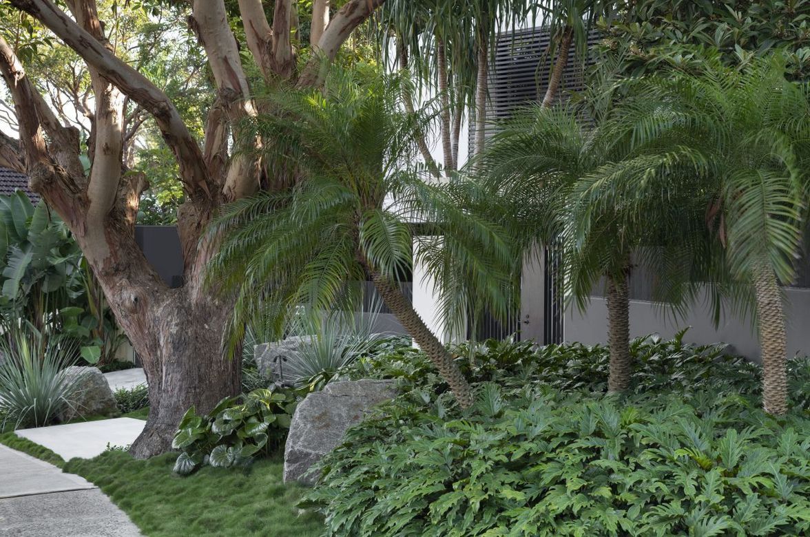 Urban Jungle