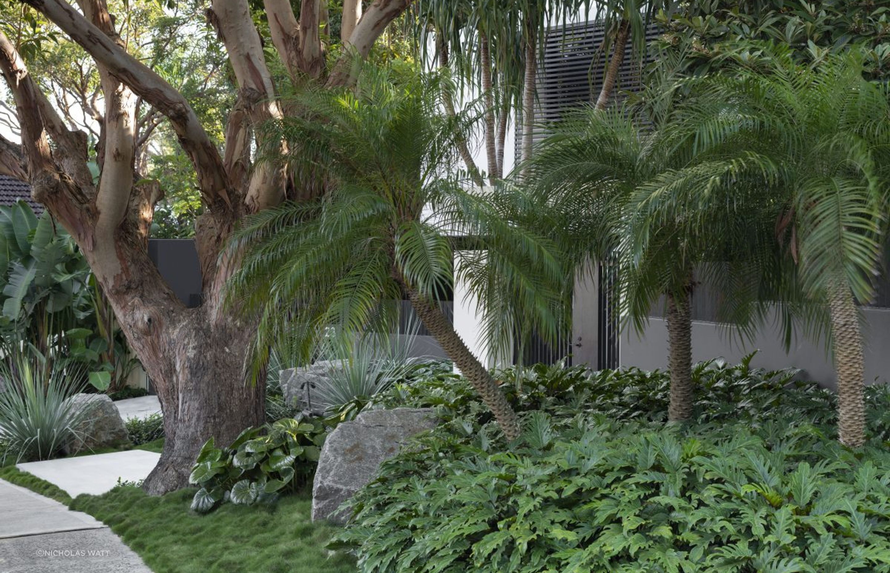 Urban Jungle