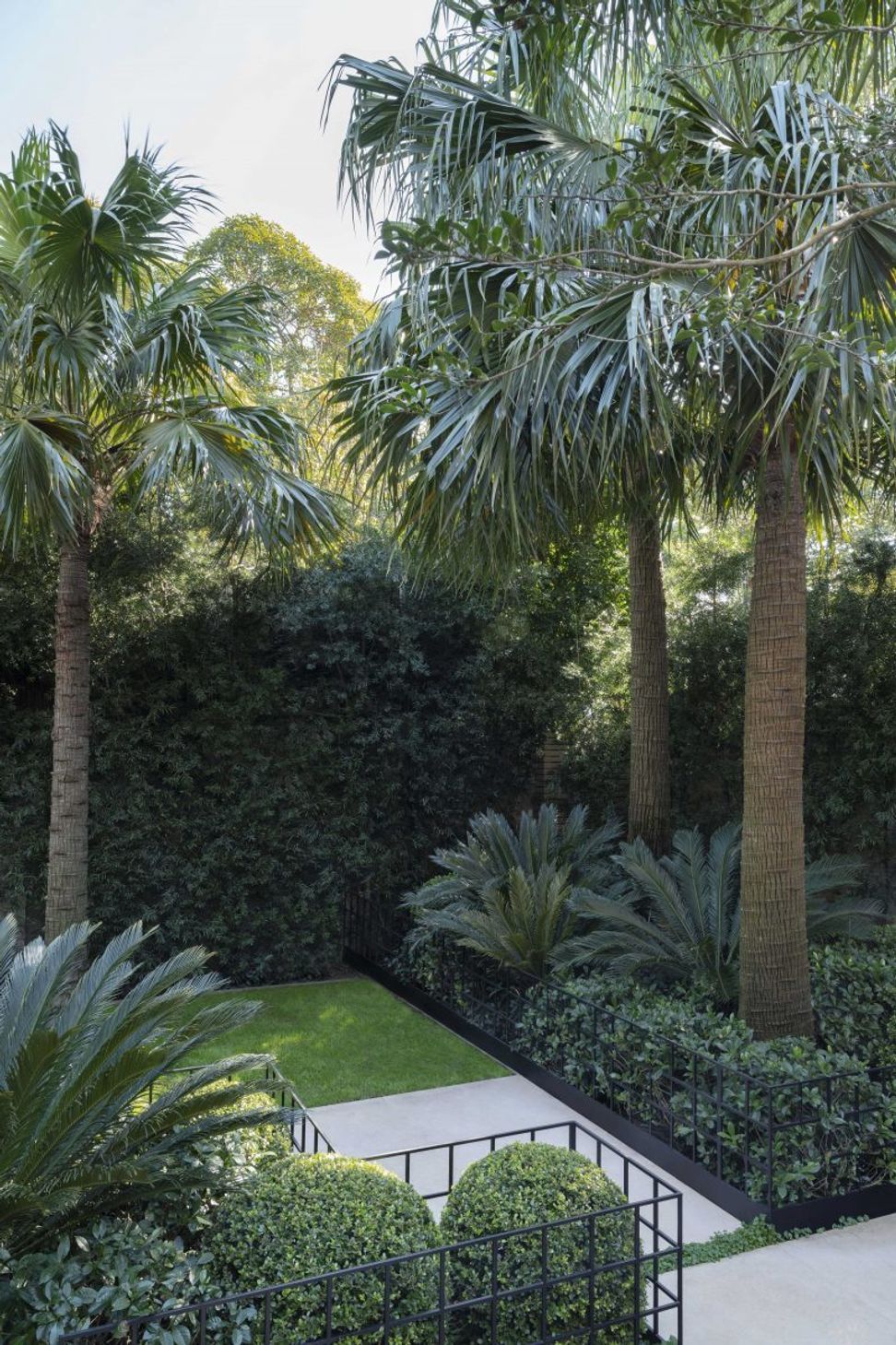 Double Bay Courtyard