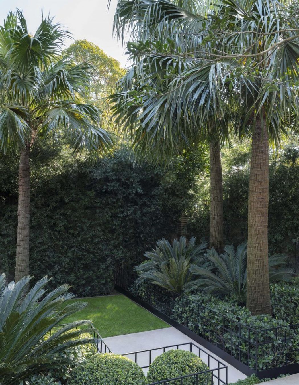 Double Bay Courtyard