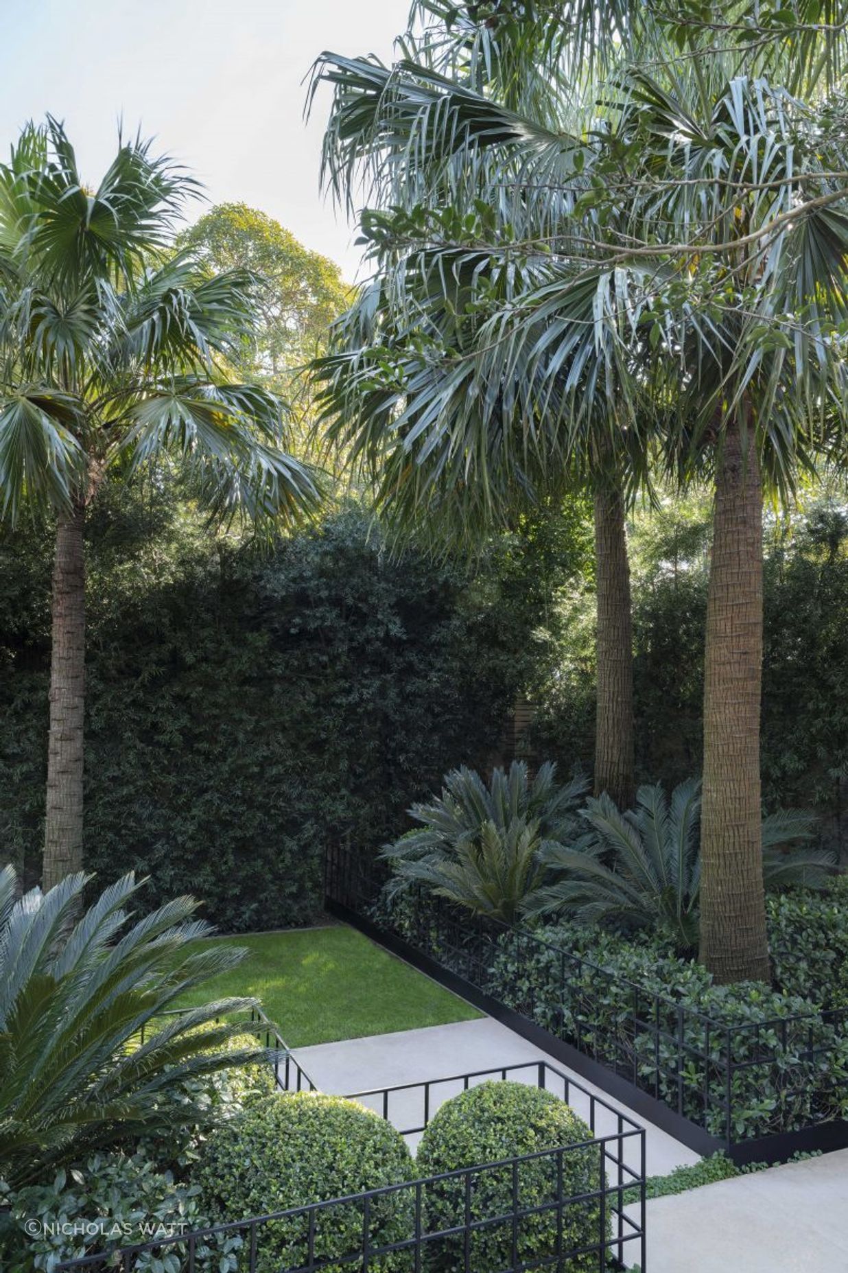 Double Bay Courtyard
