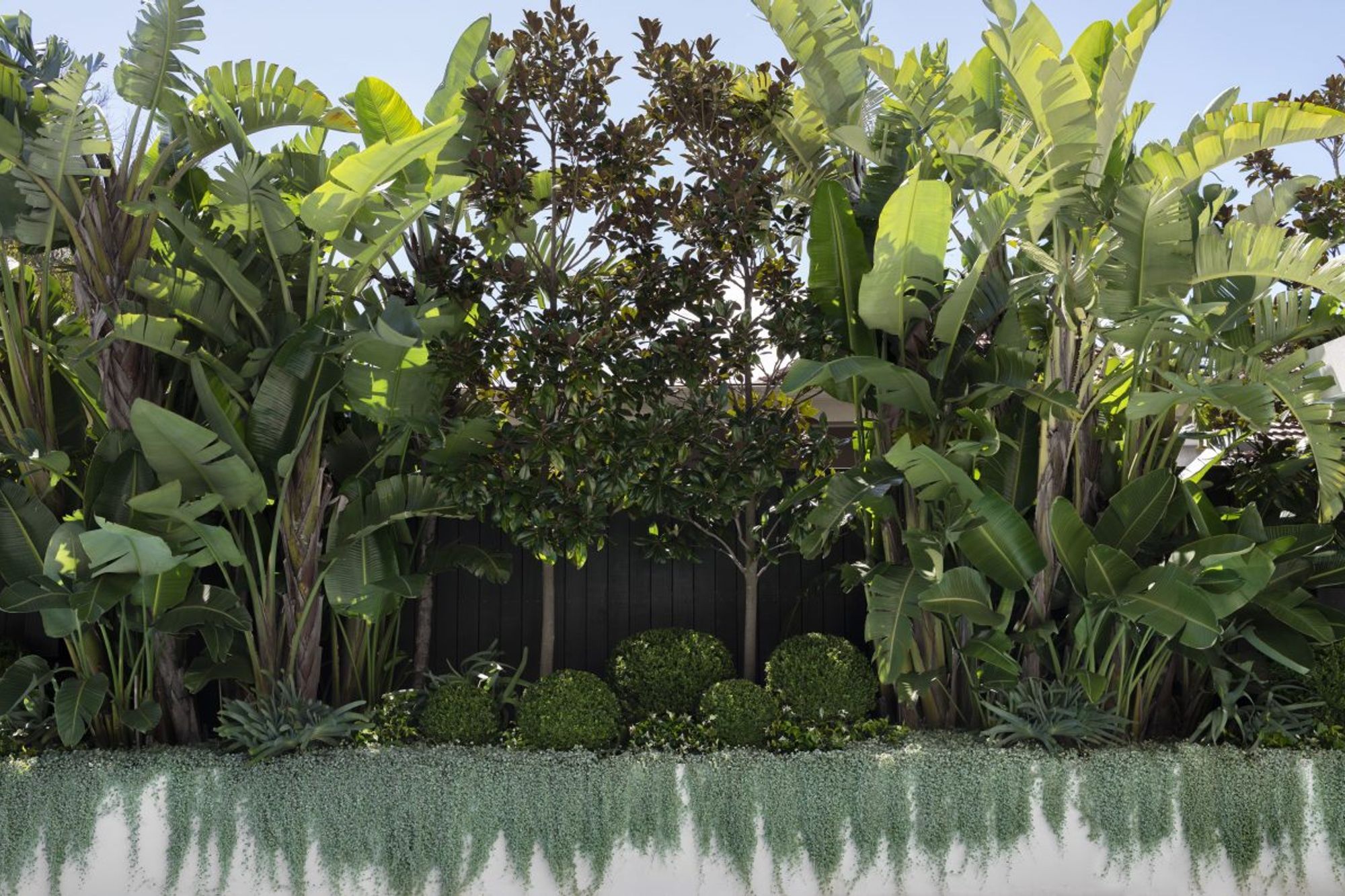 Urban Jungle