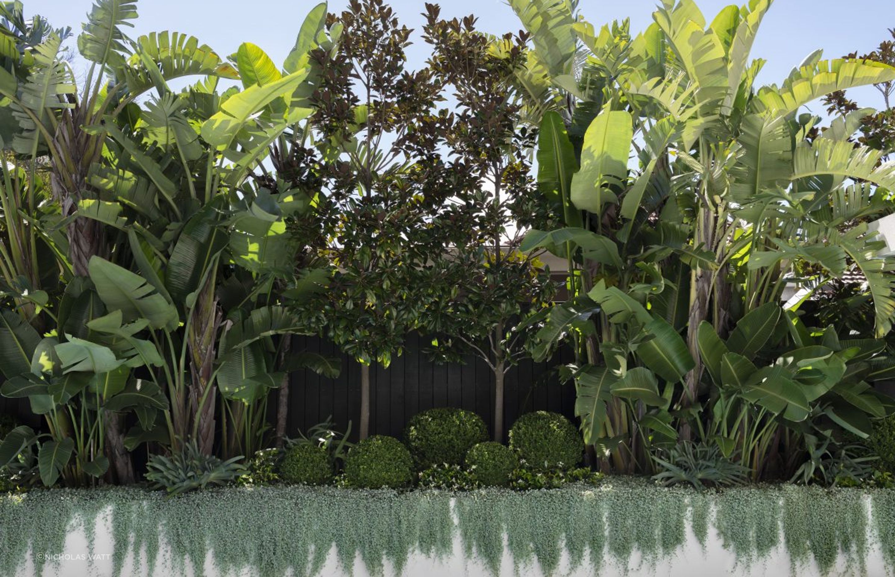 Urban Jungle