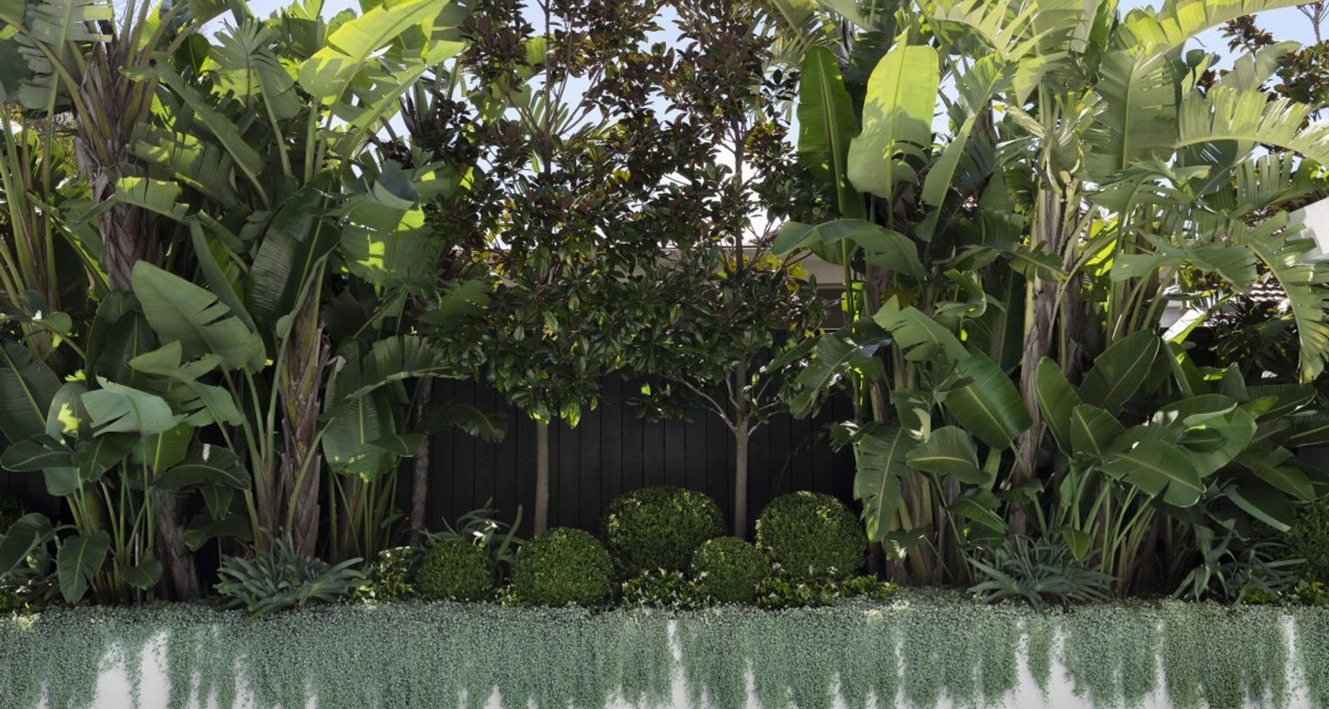 Urban Jungle banner