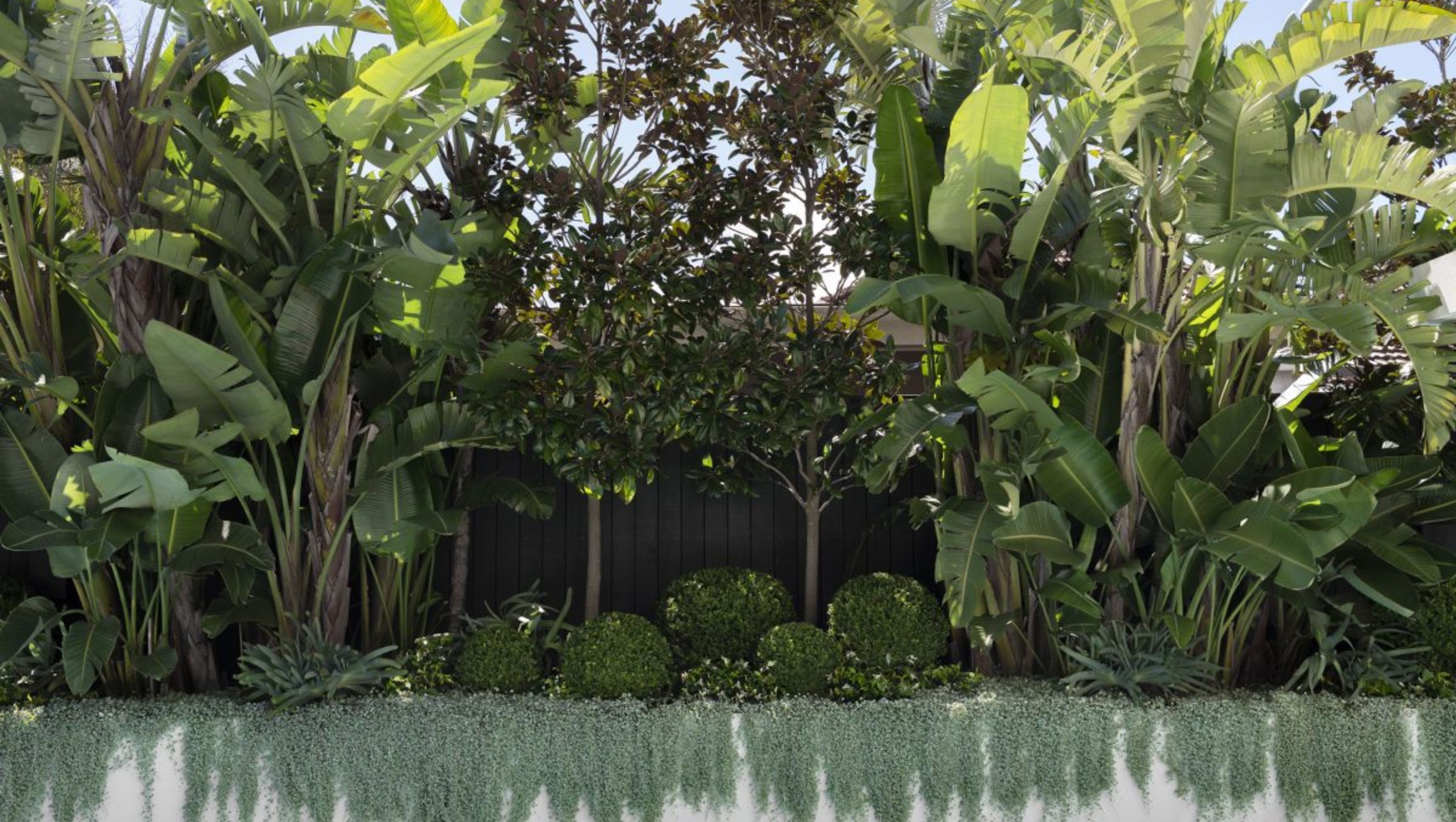Urban Jungle