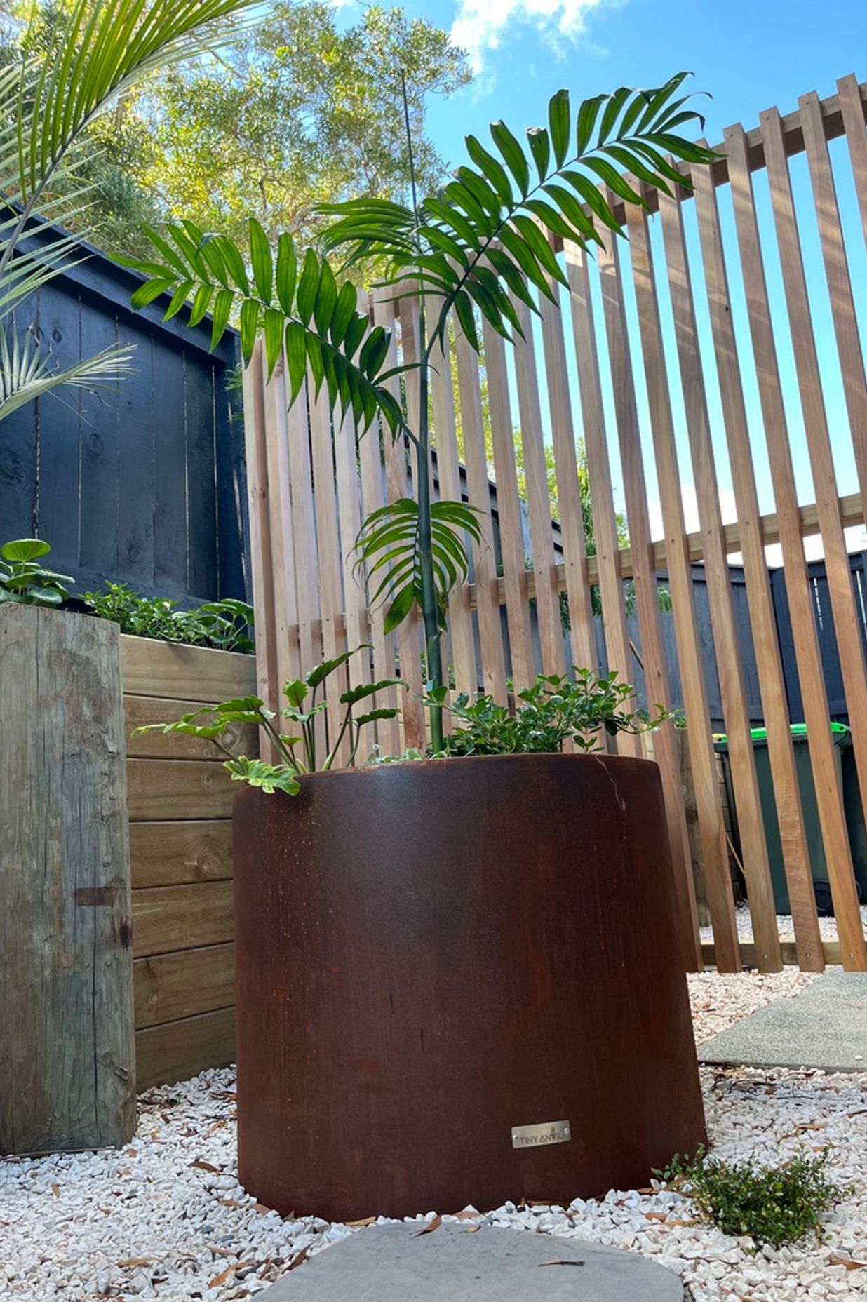Urban Jungle