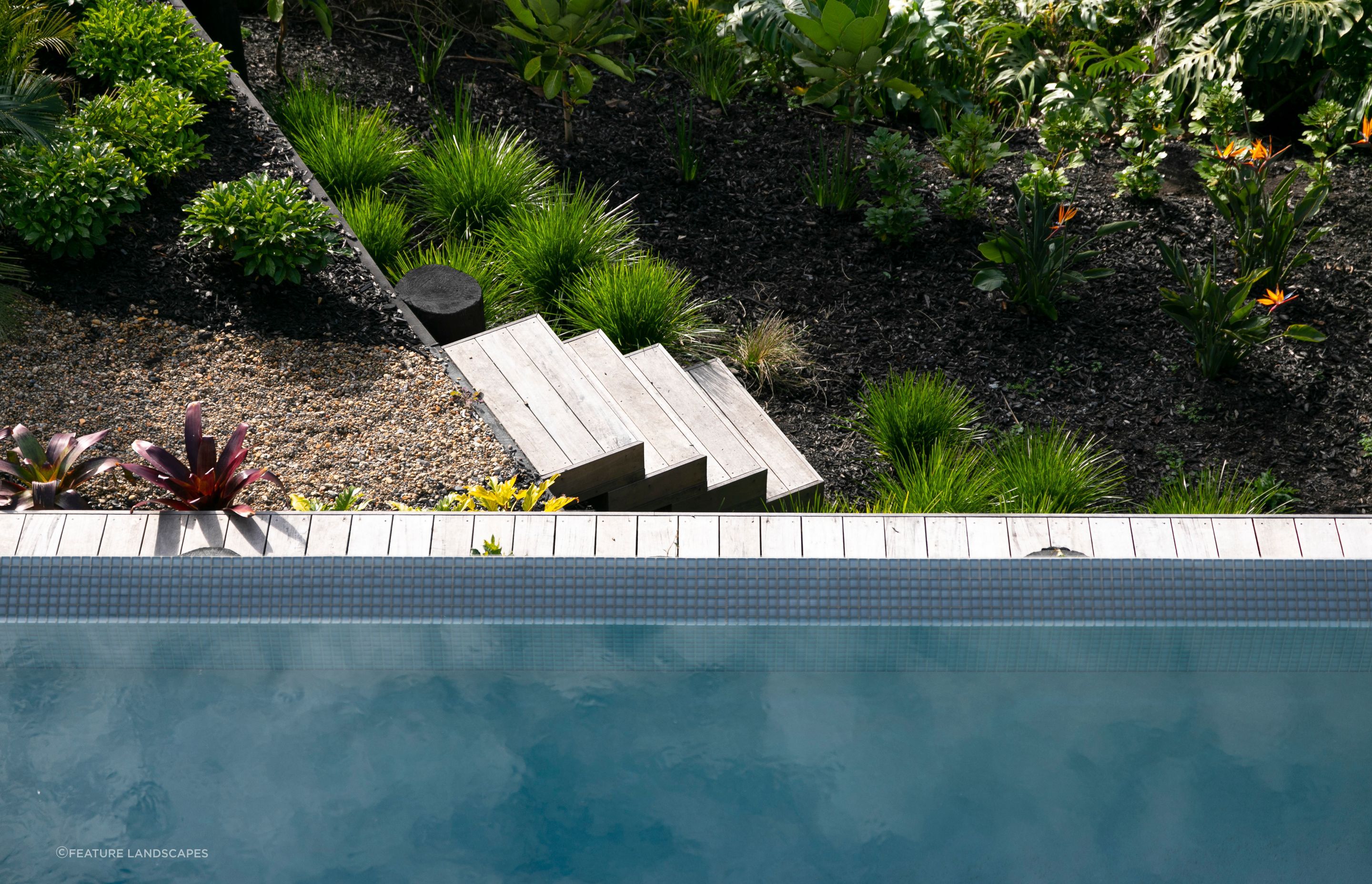 Looking over the Horizon Pool edge to the beautiful garden below