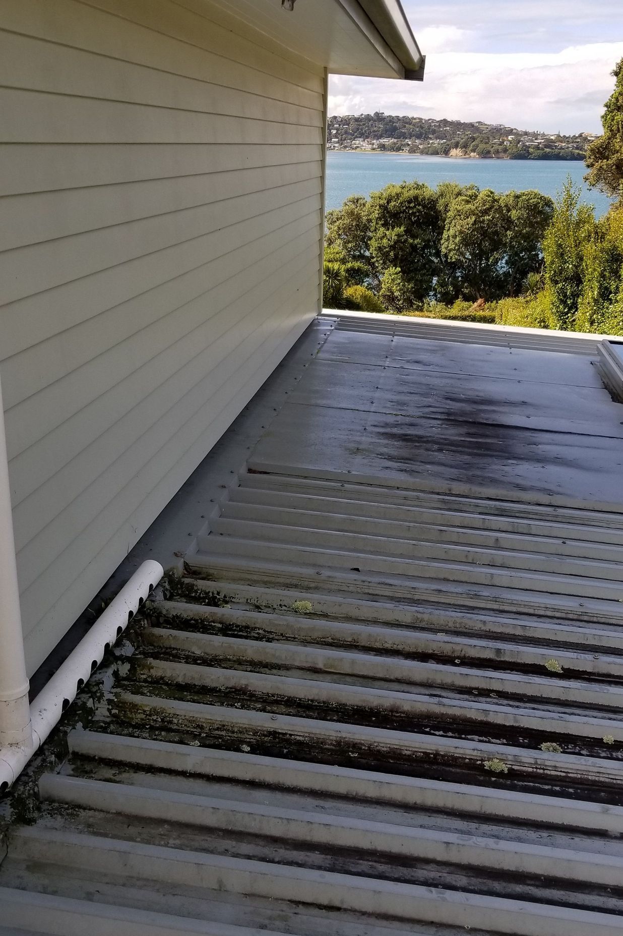 Before and After Photos