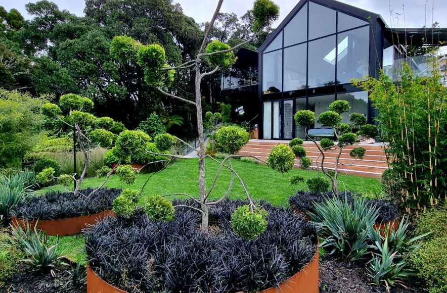 Birkenhead Point Garden