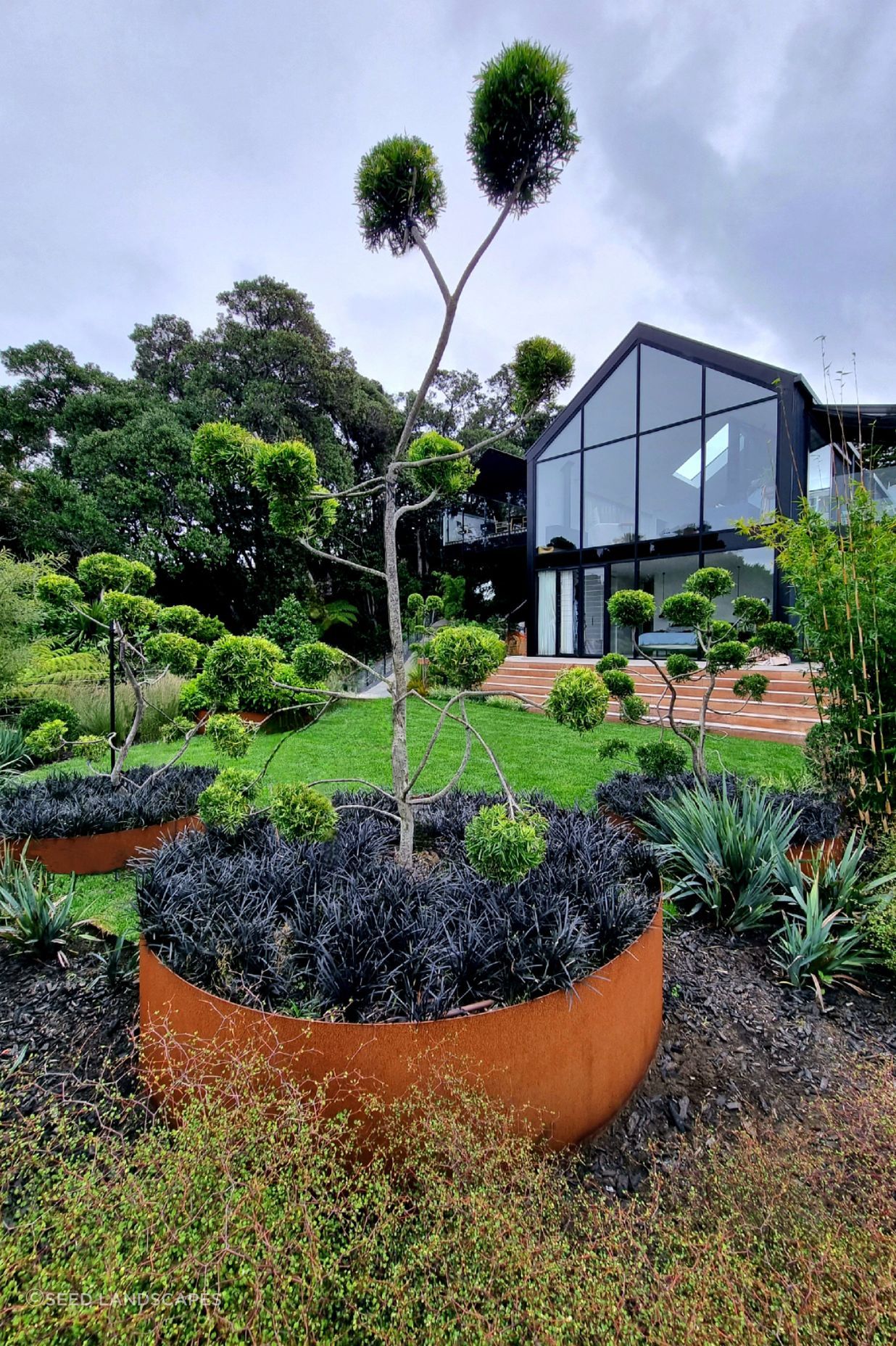Birkenhead Point Garden