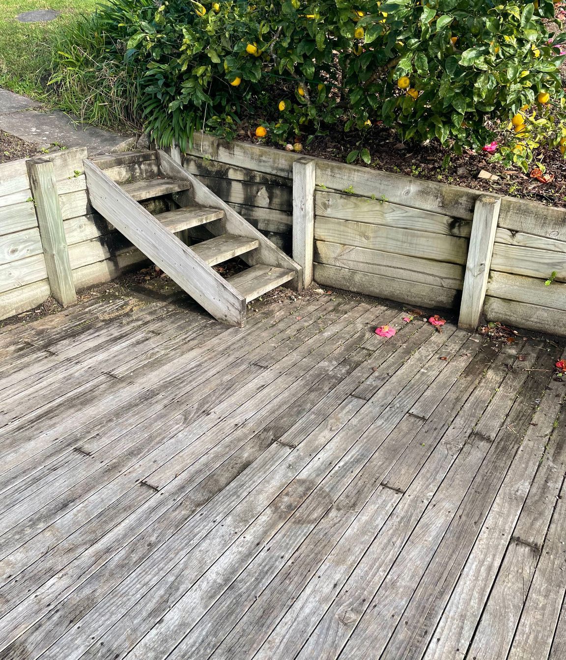 Before and After Photos