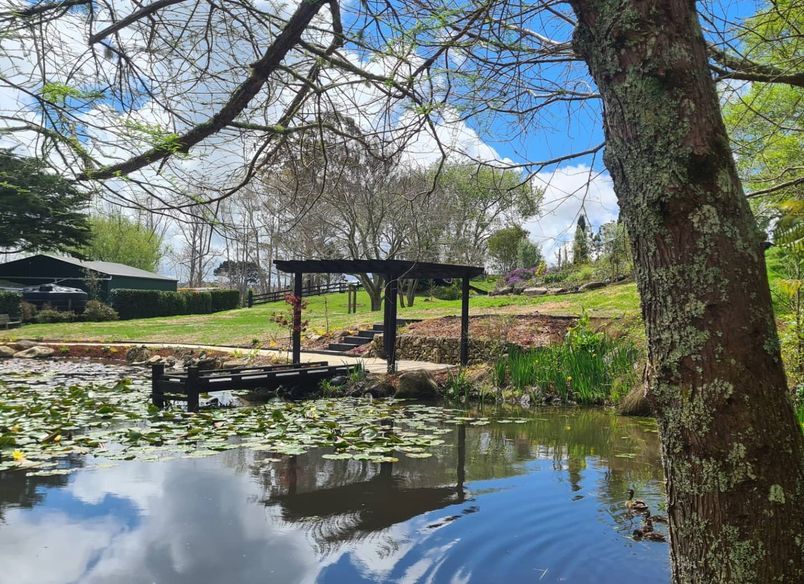 Pond Tranquillity