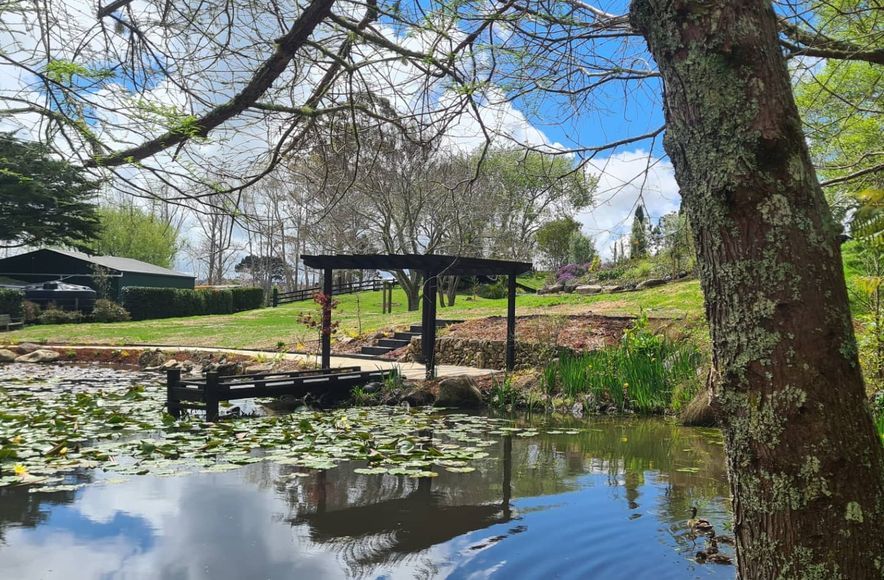 Pond Tranquillity