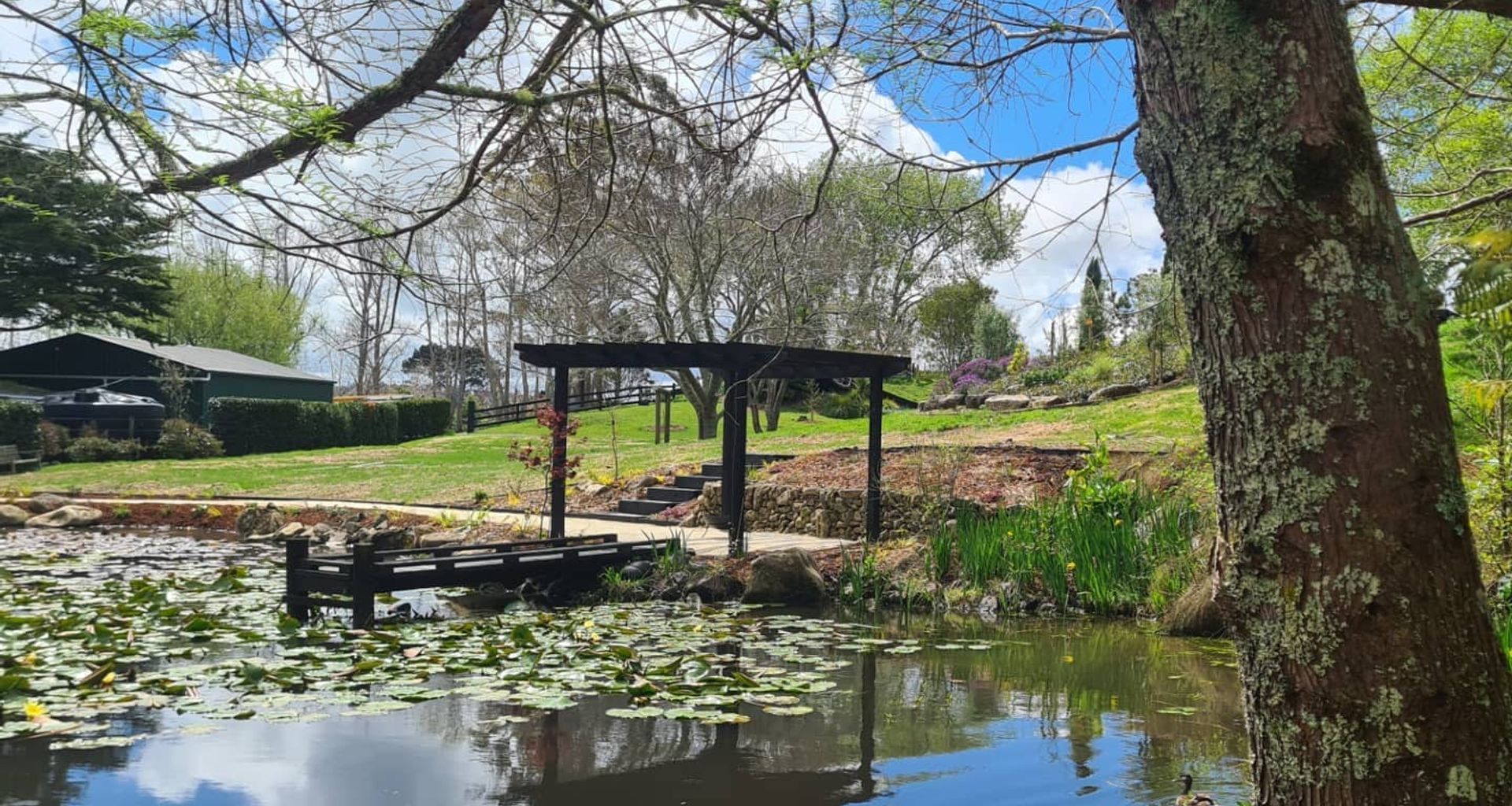 Pond Tranquillity banner