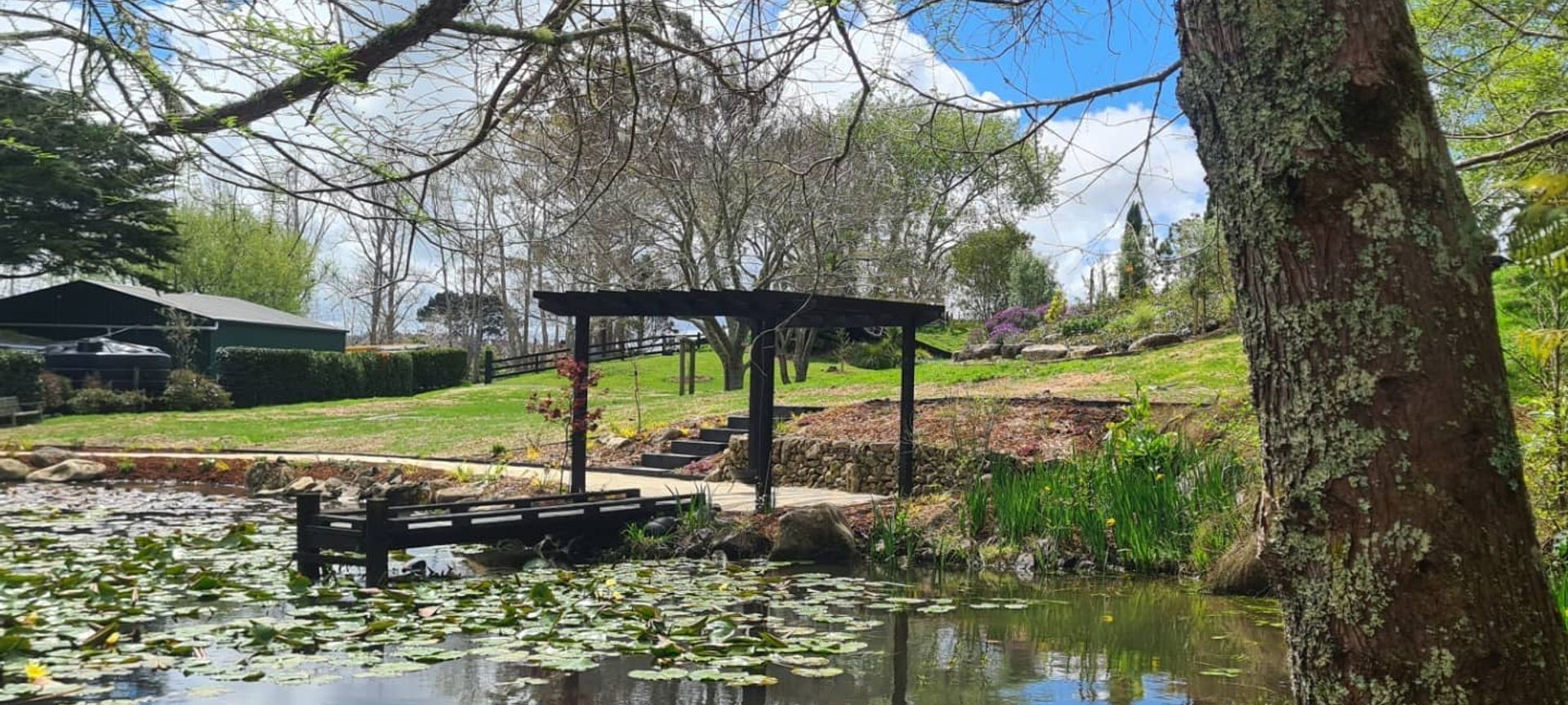 Pond Tranquillity banner