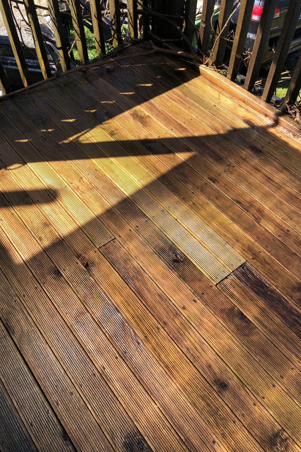 Before and After Photos
