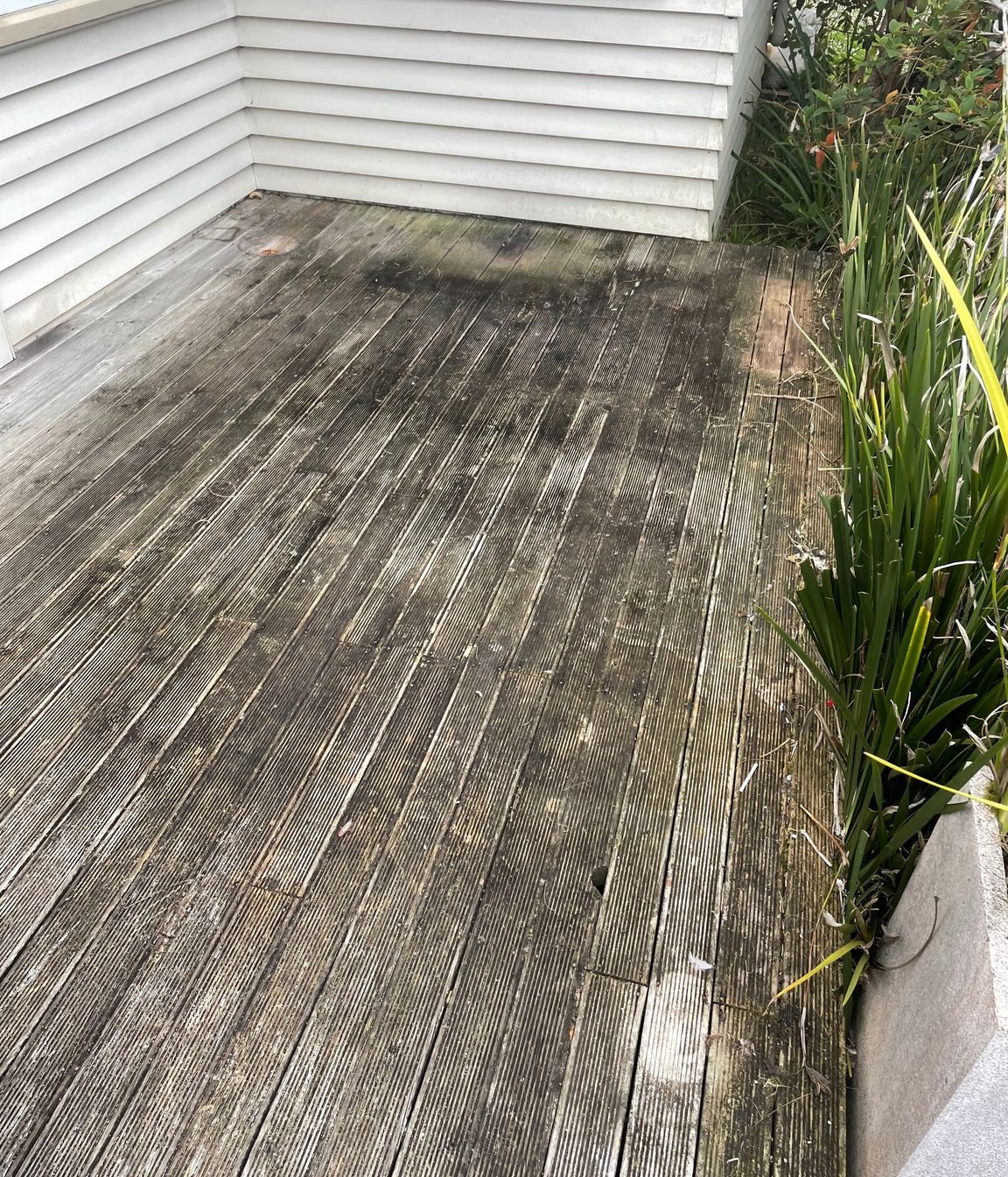 Before and After Photos