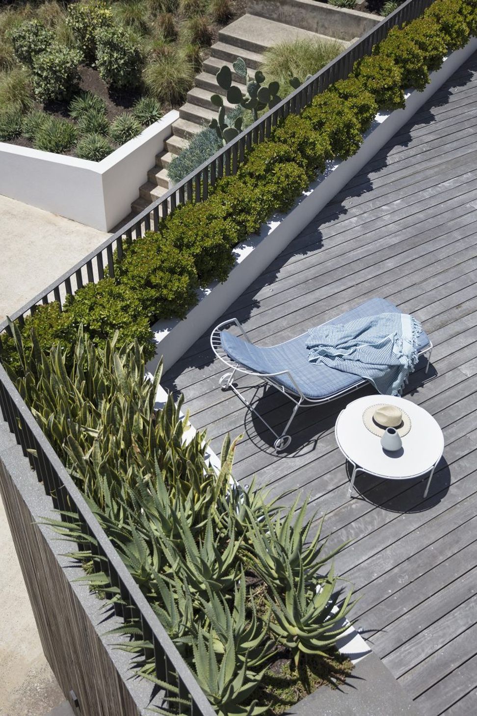 Beachside Garden