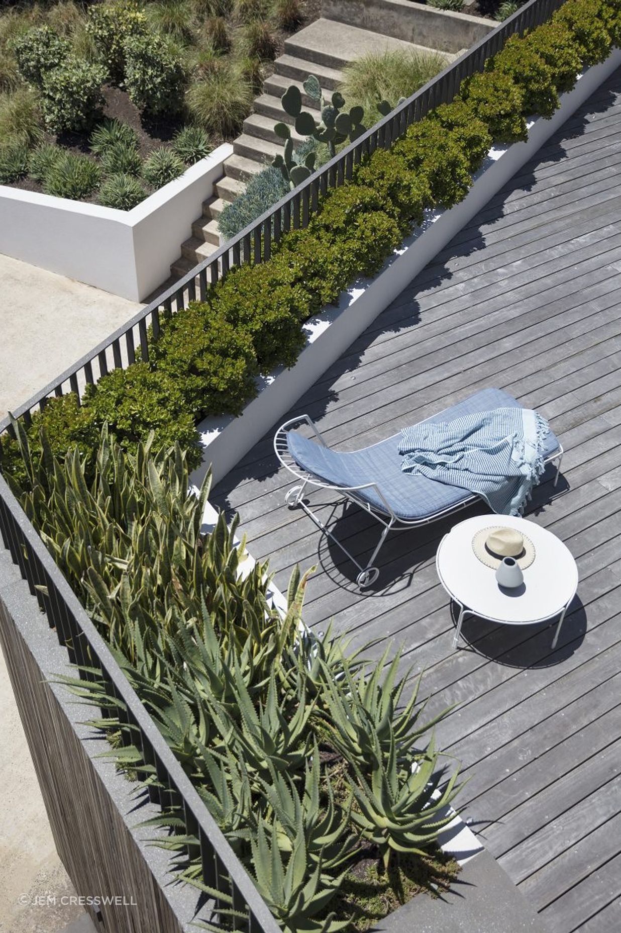 Beachside Garden