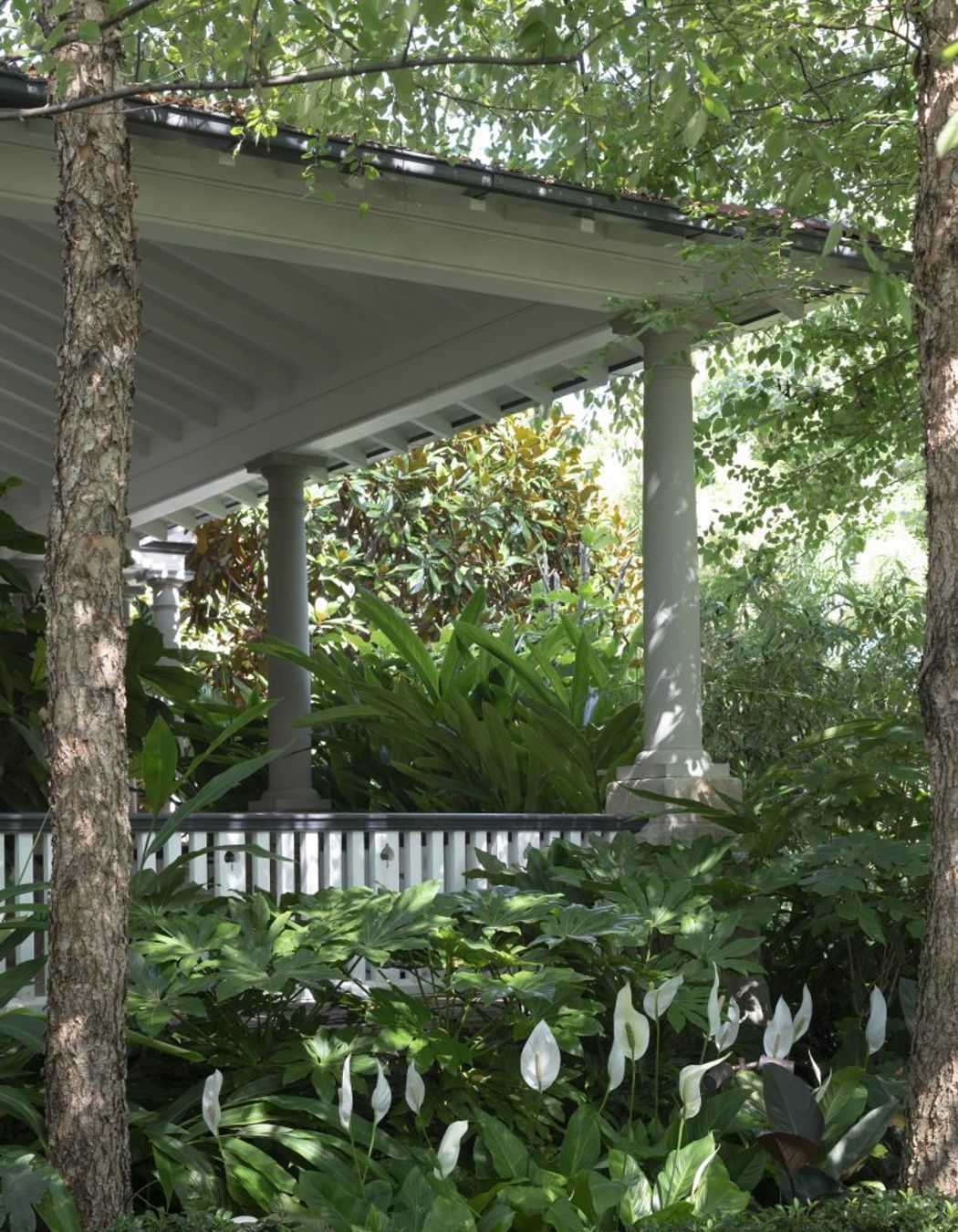 Mosman Grounds