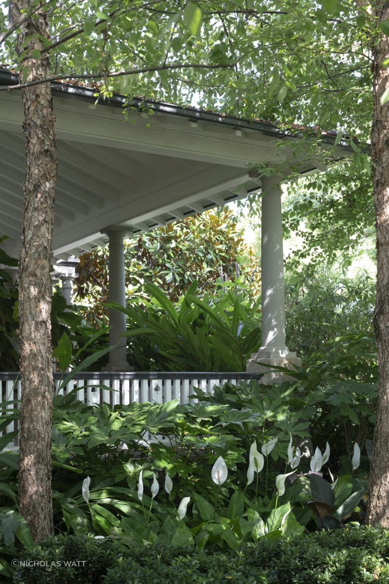 Mosman Grounds