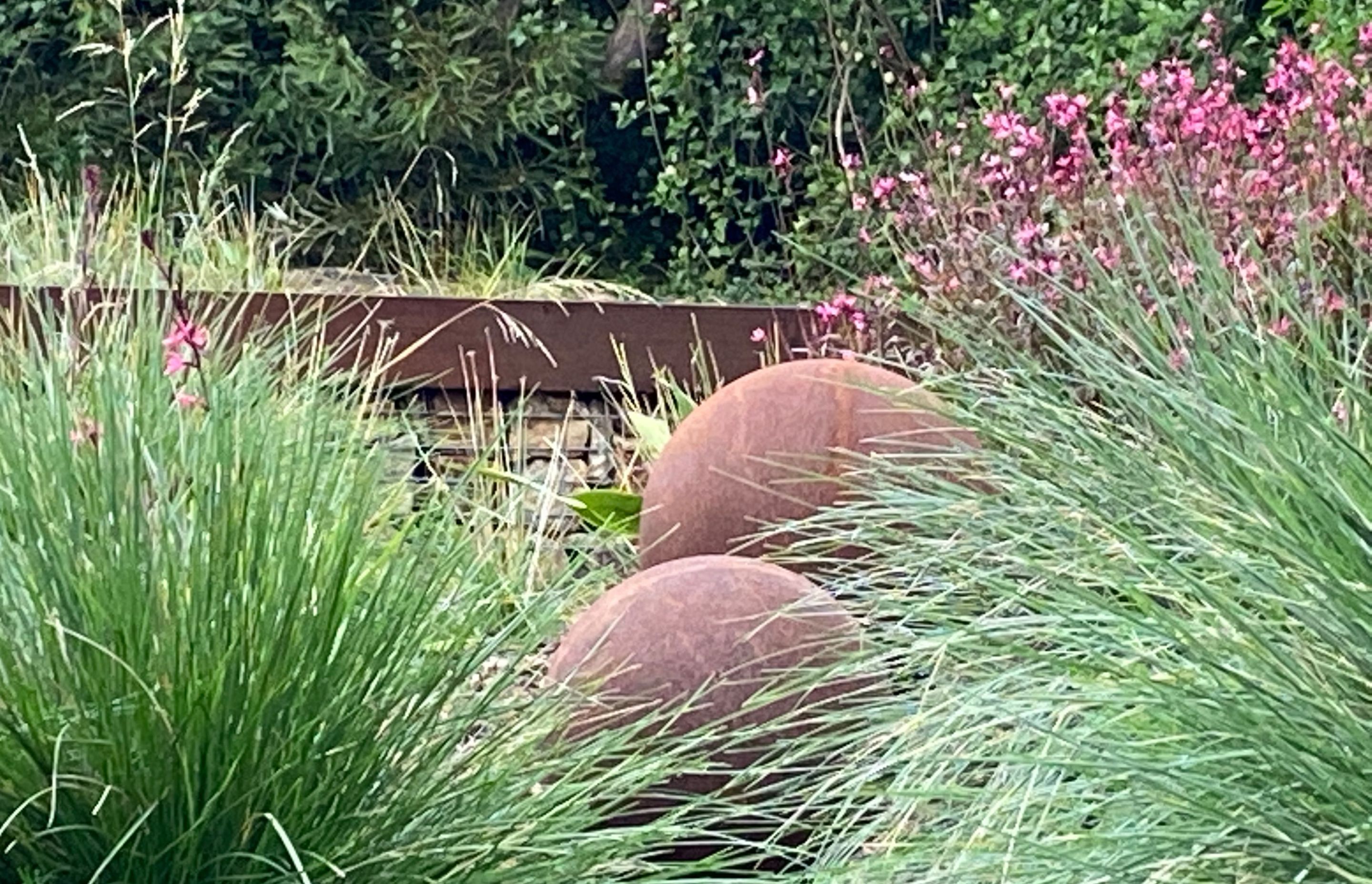 ##^^Mount Eliza Woodland Garden In Mount Eliza