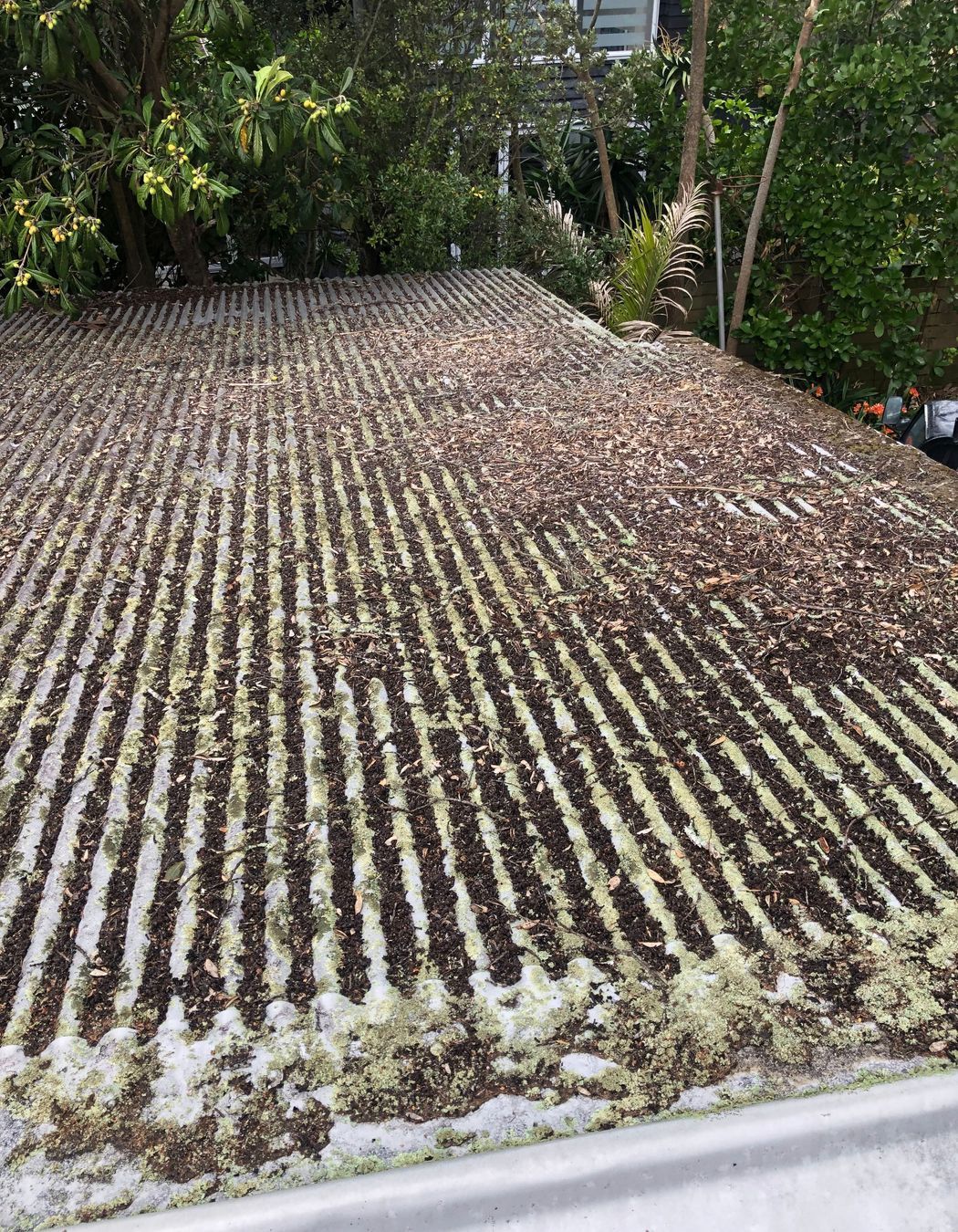 Before and After Photos