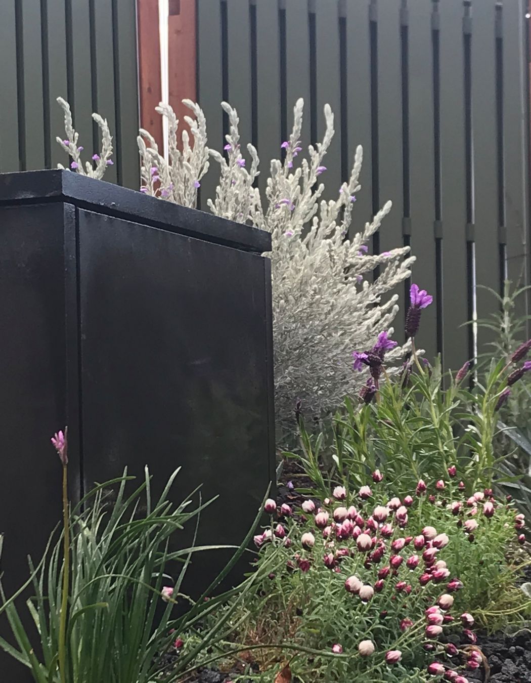 ##^^**&&'Welkin', Colourful Rooftop Terrace & 'Scarborough' Garden In Clifton Hill