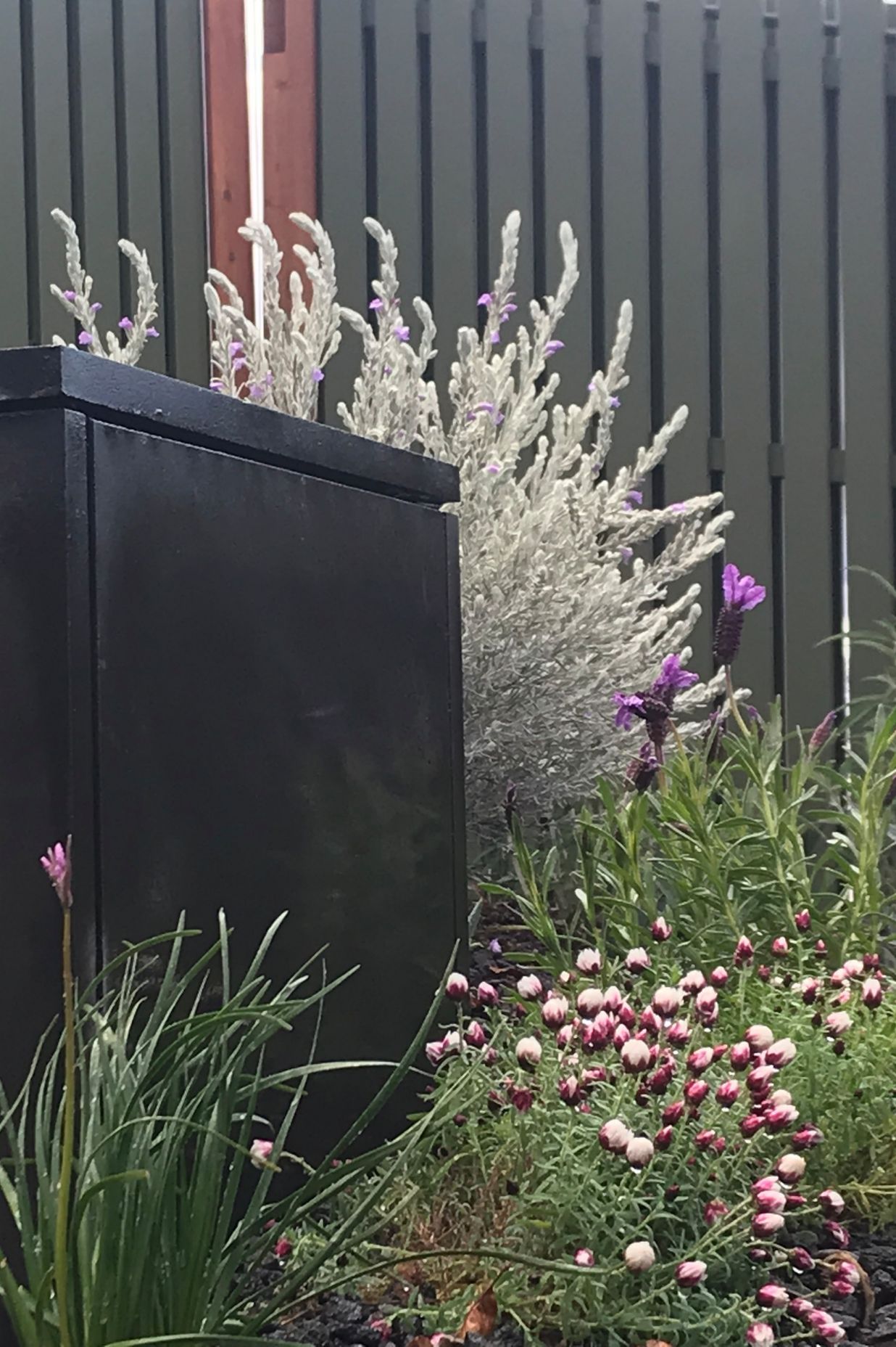 ##^^**&&'Welkin', Colourful Rooftop Terrace & 'Scarborough' Garden In Clifton Hill