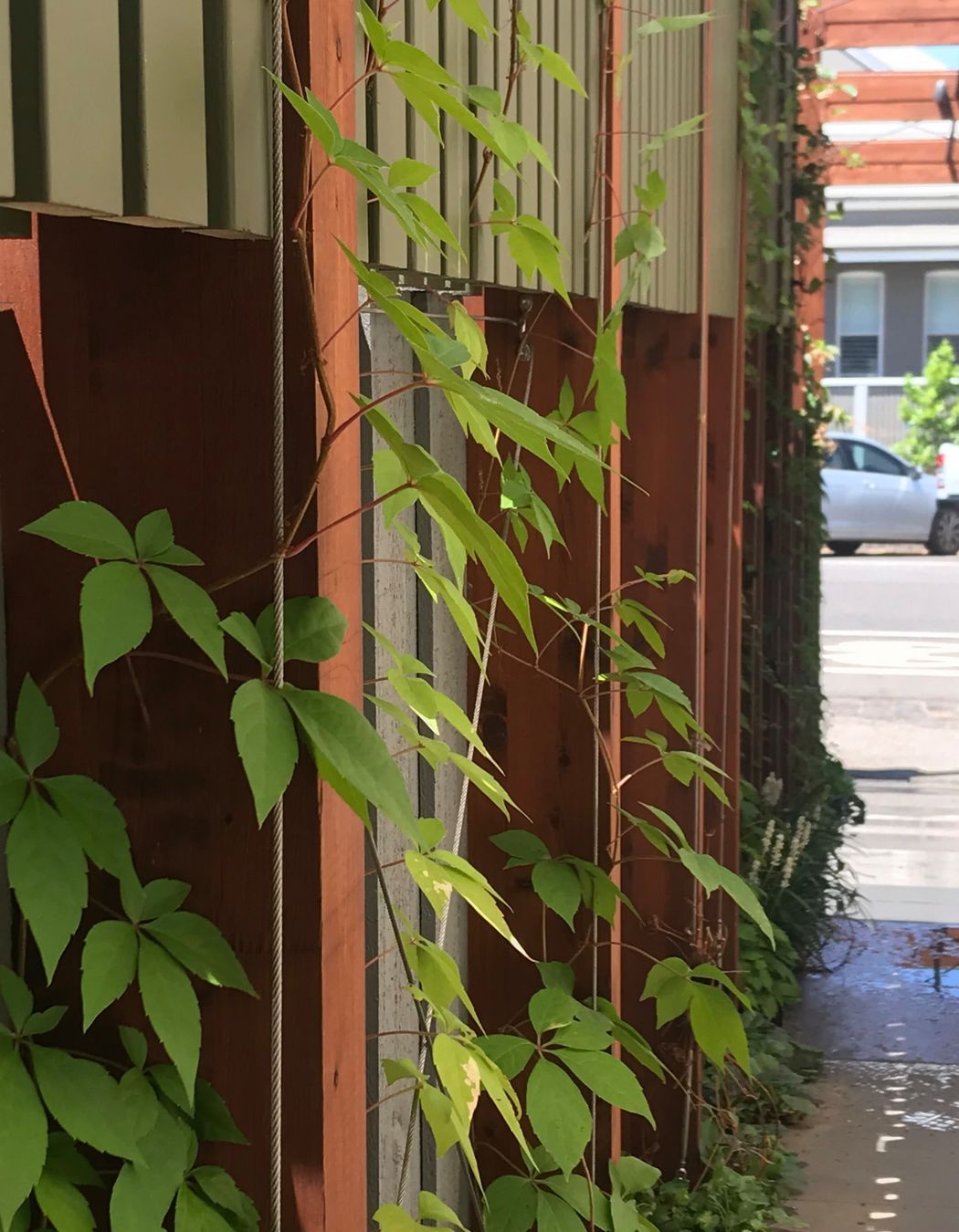 ##^^**&&'Welkin', Colourful Rooftop Terrace & 'Scarborough' Garden In Clifton Hill