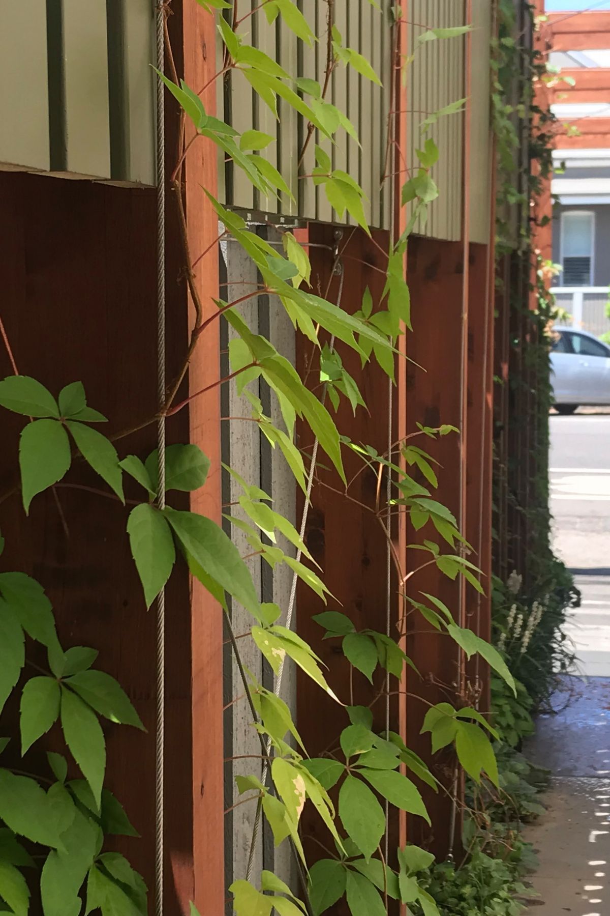 ##^^**&amp;&amp;'Welkin', Colourful Rooftop Terrace &amp; 'Scarborough' Garden In Clifton Hill