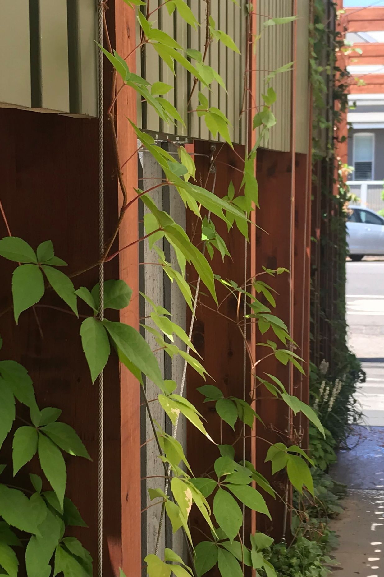 ##^^**&&'Welkin', Colourful Rooftop Terrace & 'Scarborough' Garden In Clifton Hill