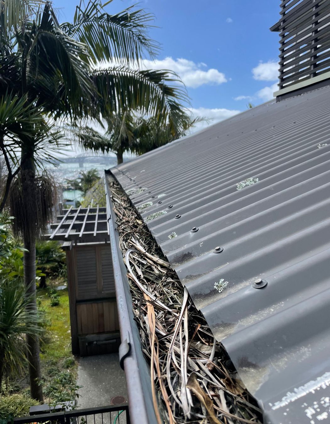 Before and After Photos