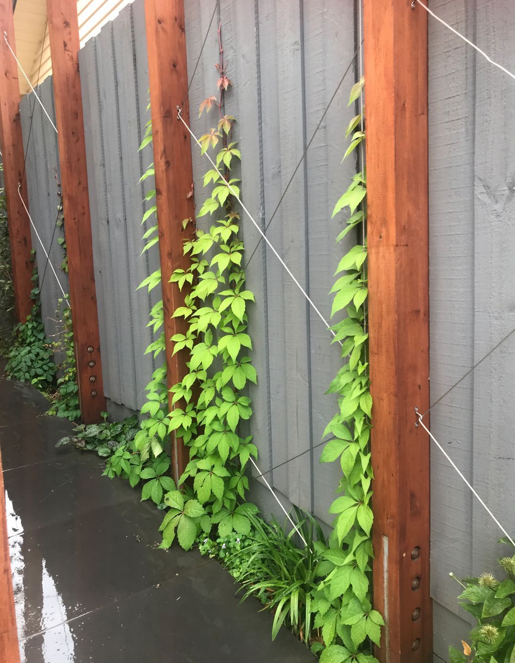 ##^^**&&'Welkin', Colourful Rooftop Terrace & 'Scarborough' Garden In Clifton Hill