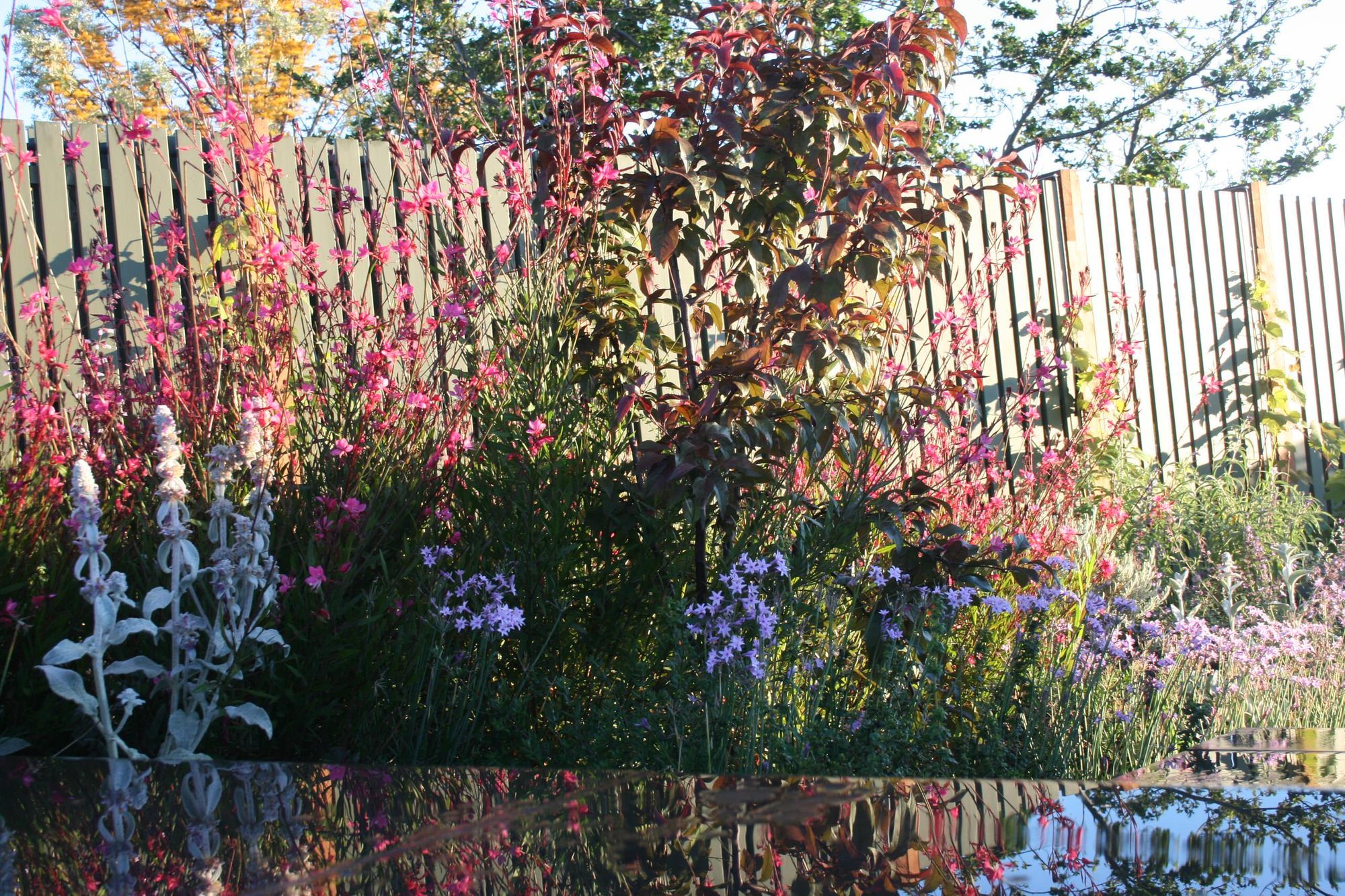 ##^^**&amp;&amp;'Welkin', Colourful Rooftop Terrace &amp; 'Scarborough' Garden In Clifton Hill