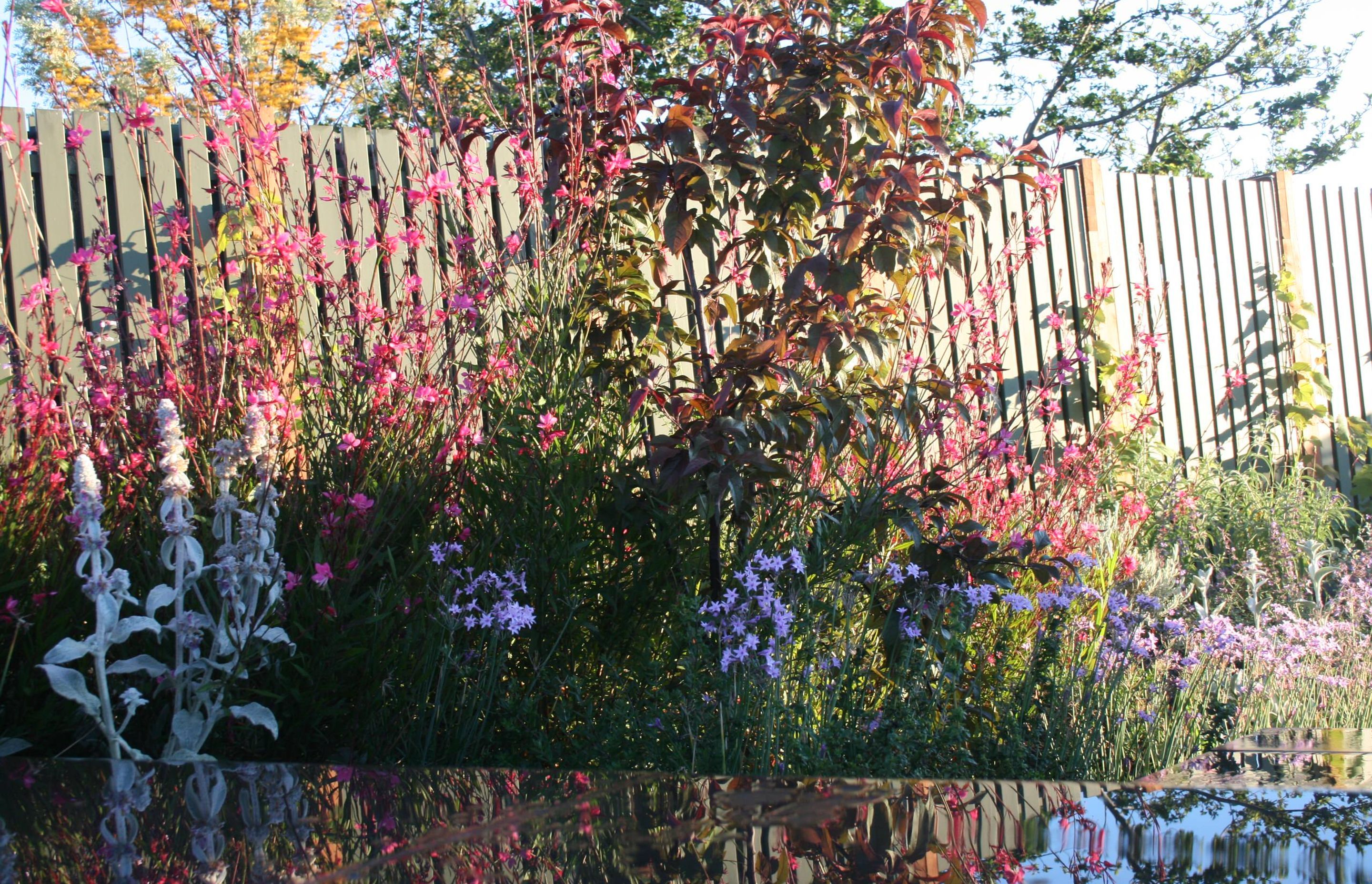##^^**&&'Welkin', Colourful Rooftop Terrace & 'Scarborough' Garden In Clifton Hill