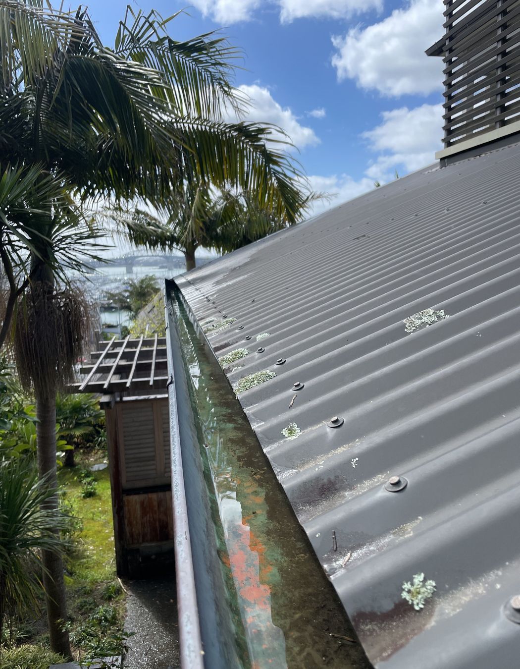 Before and After Photos