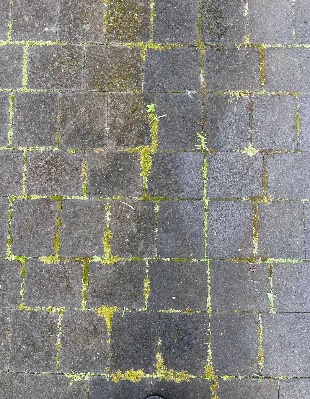 Before and After Photos