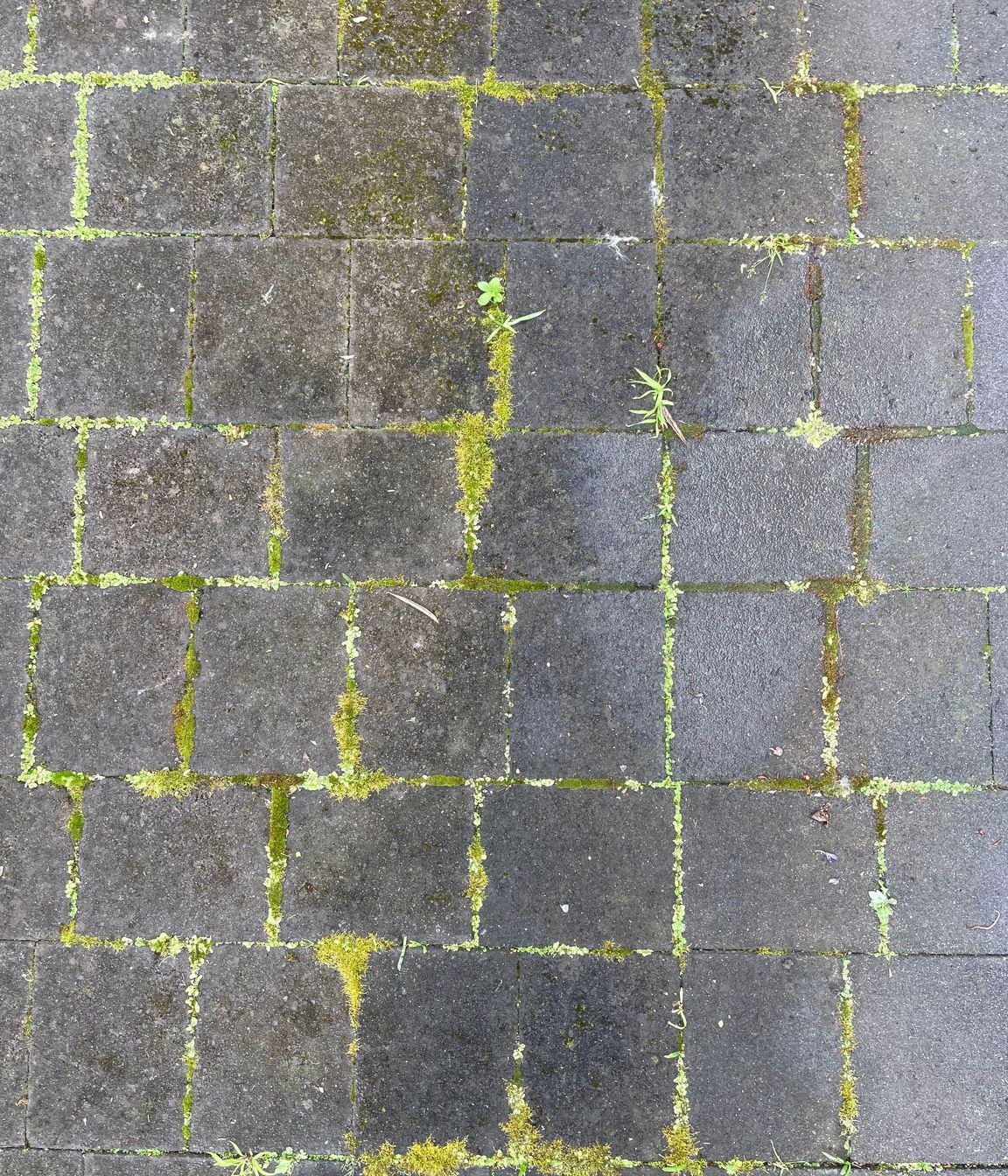 Before and After Photos