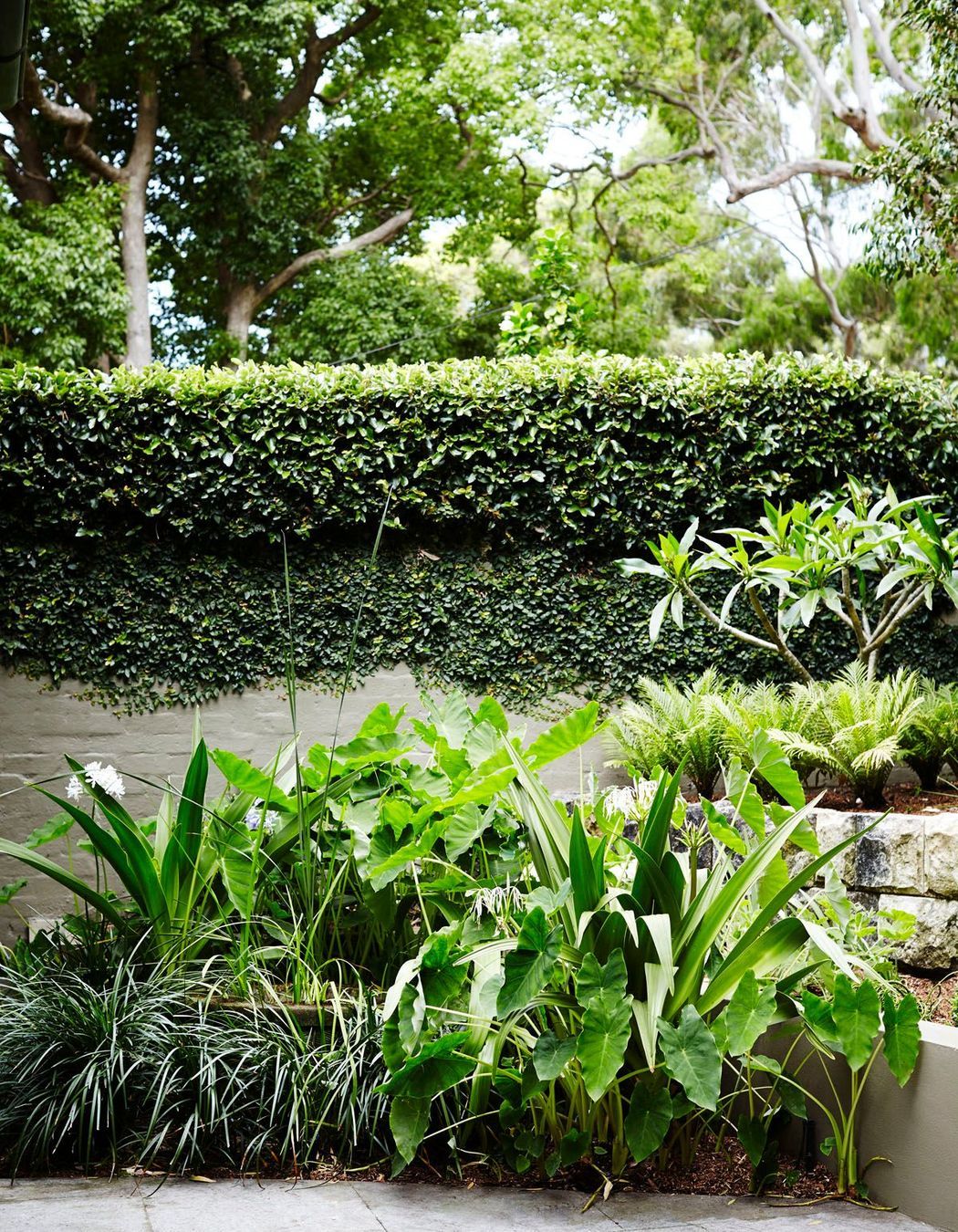 Parsley Bay
