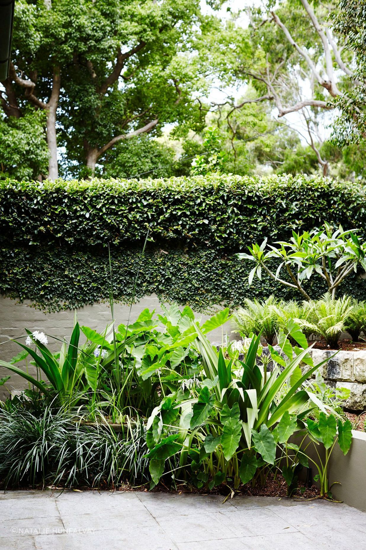 Parsley Bay