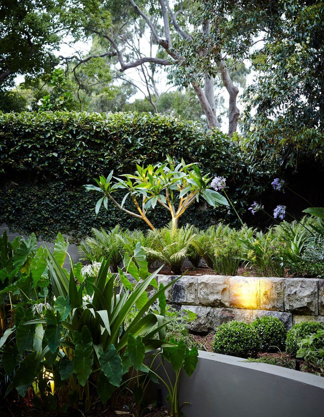 Parsley Bay