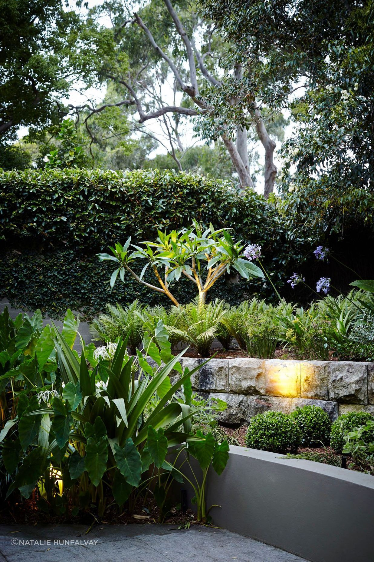 Parsley Bay