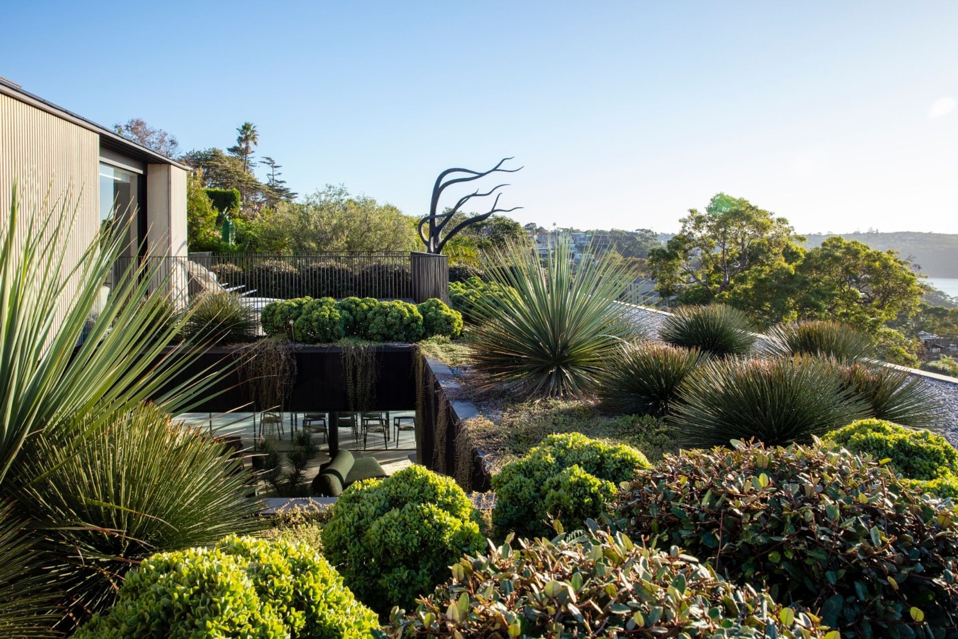 Sub Tropical Pleasure Gardens