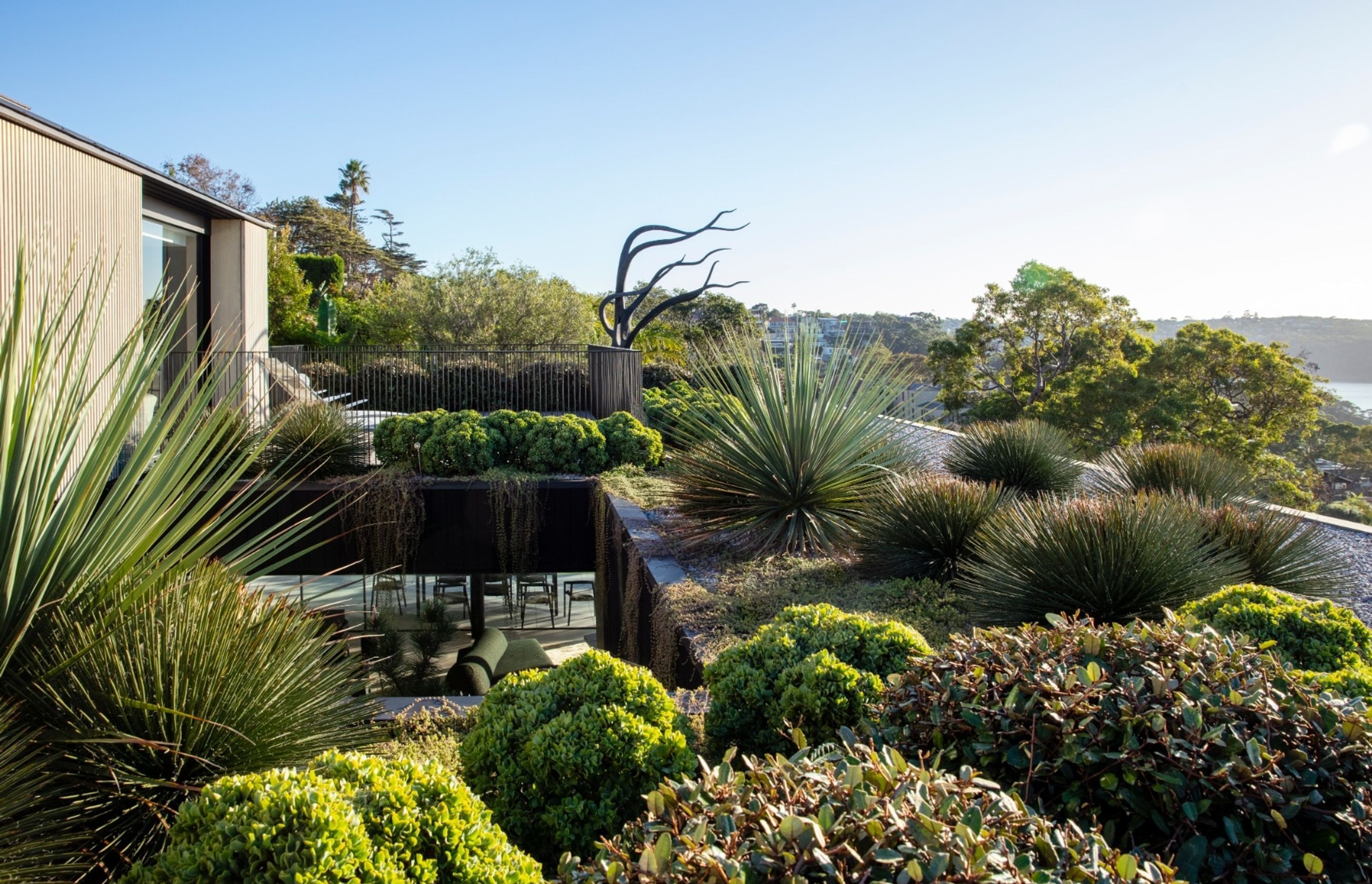 Sub Tropical Pleasure Gardens