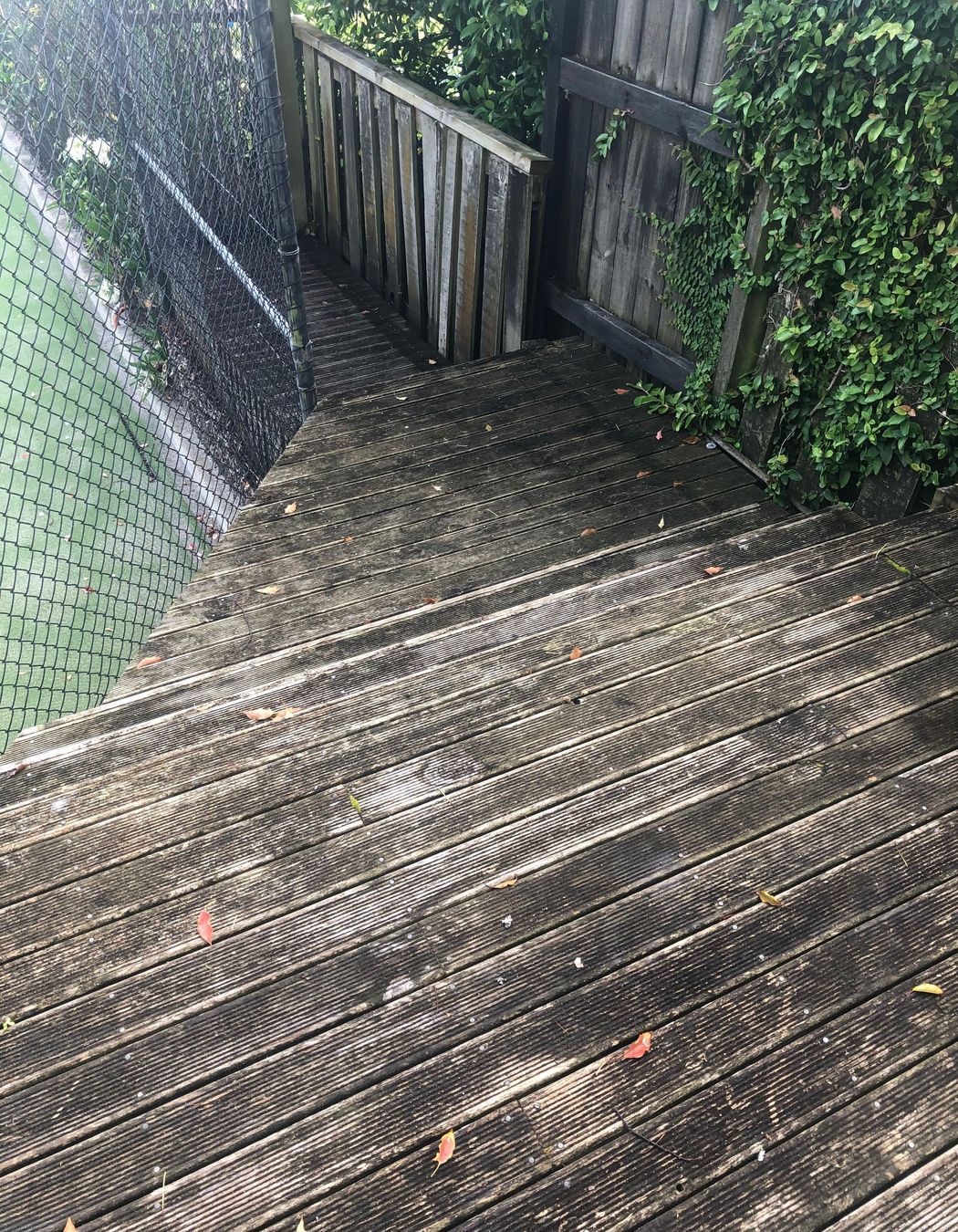 Before and After Photos