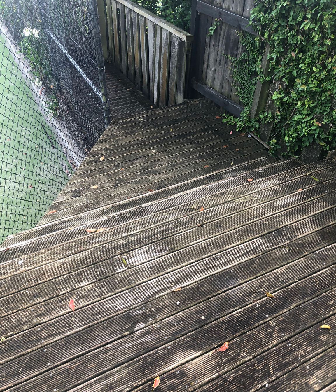 Before and After Photos