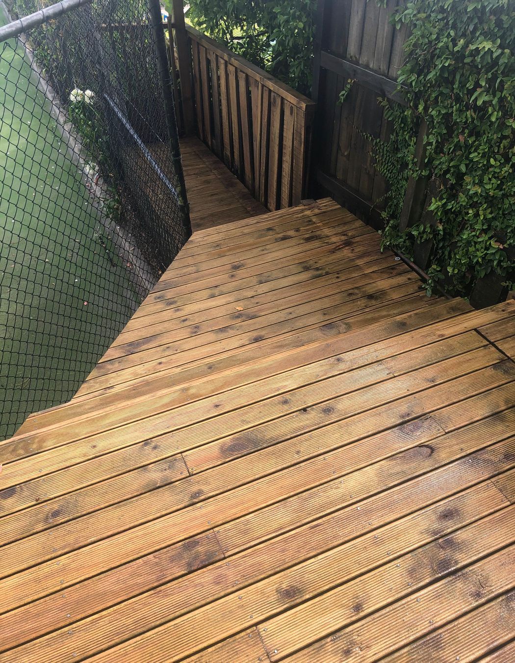 Before and After Photos