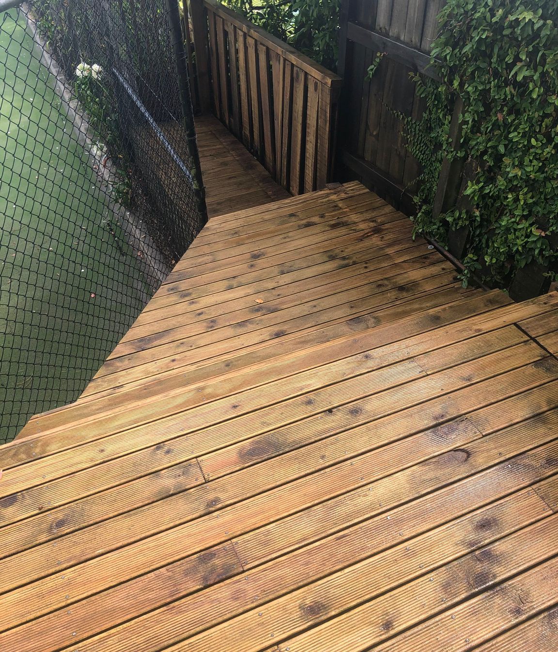 Before and After Photos