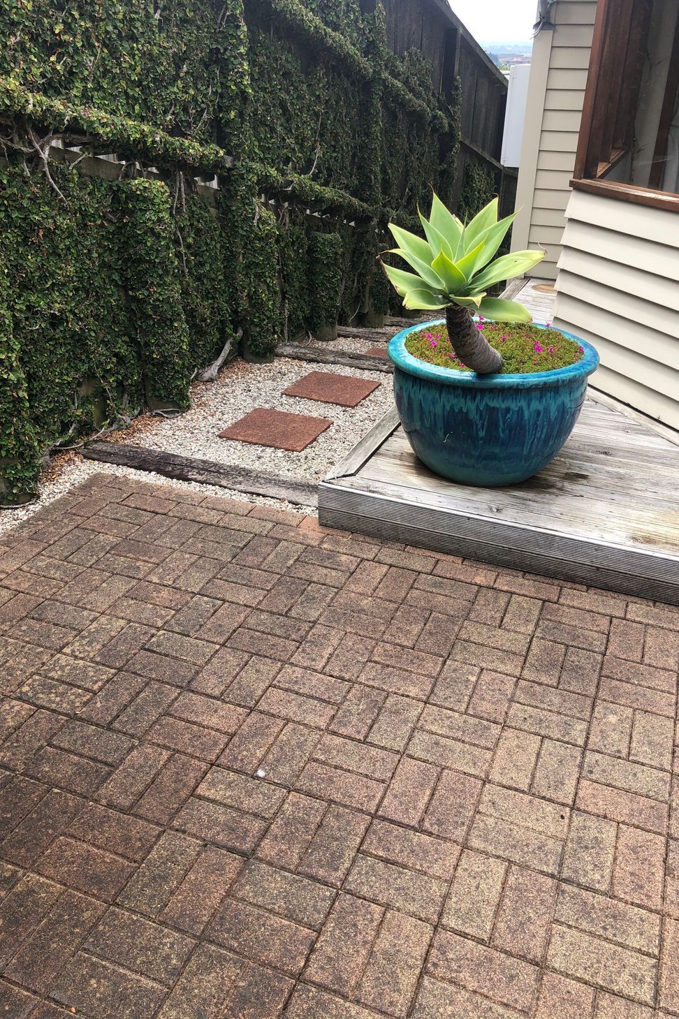 Before and After Photos